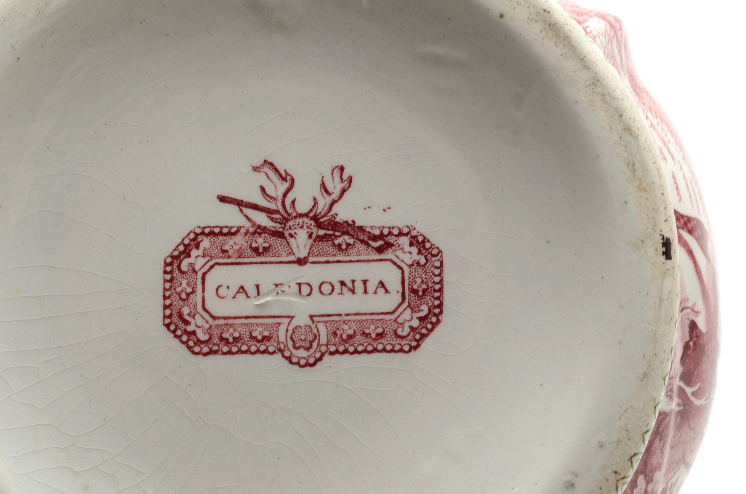 Antique Bi-Color Staffordshire William Adams and Sons "Caldonia" Pitcher