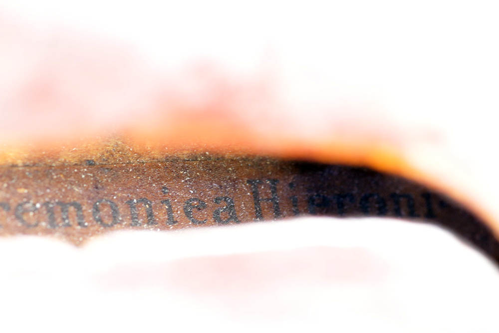 Antique Violin After Nicola Amati