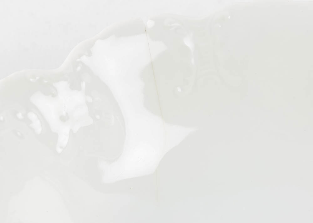 Haviland Limoges Ivory China