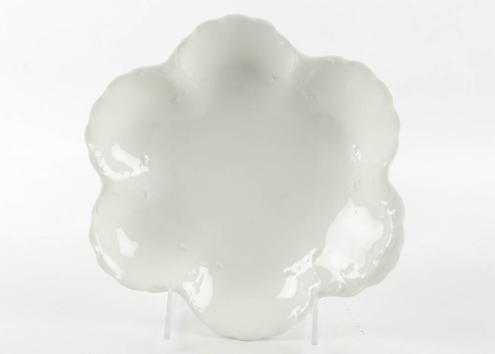 Haviland Limoges Ivory China