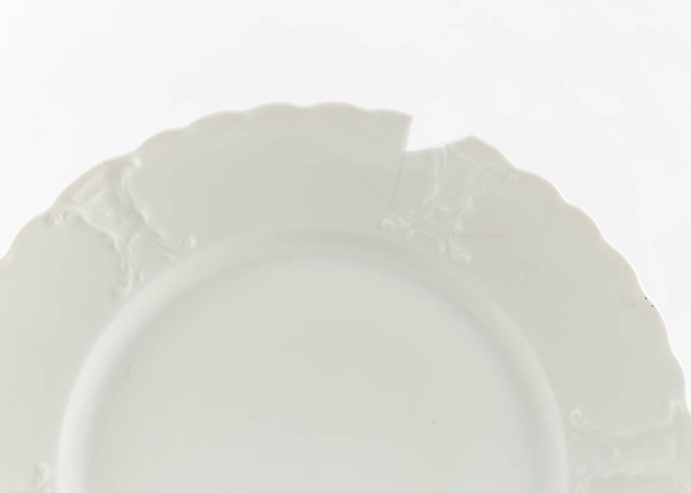 Haviland Limoges Ivory China