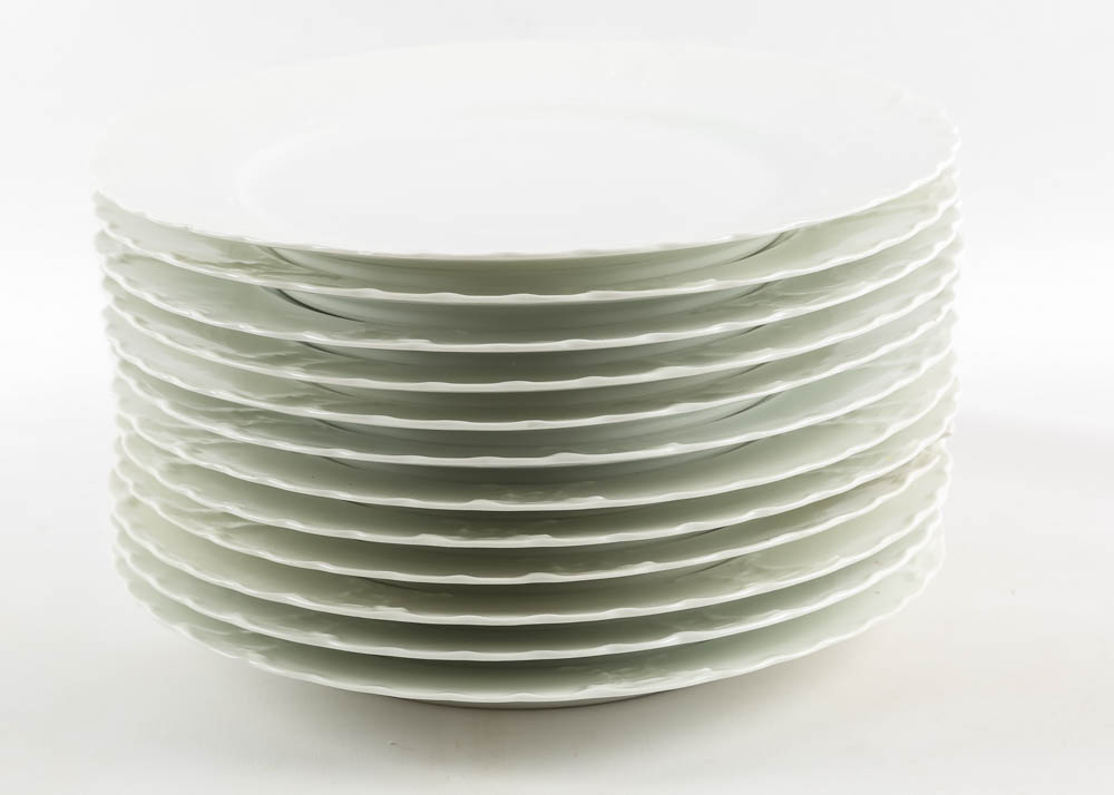 Haviland Limoges Ivory China