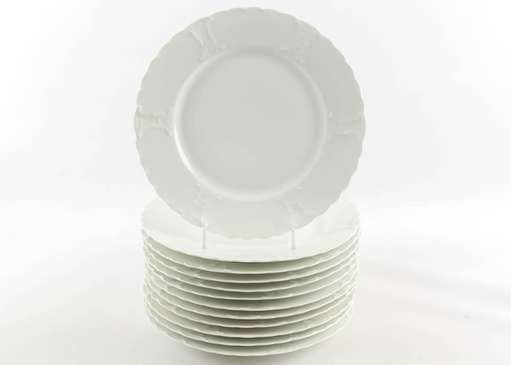 Haviland Limoges Ivory China