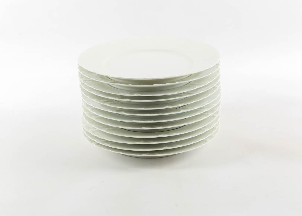 Haviland Limoges Ivory China