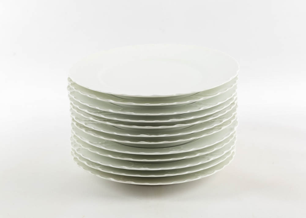 Haviland Limoges Ivory China