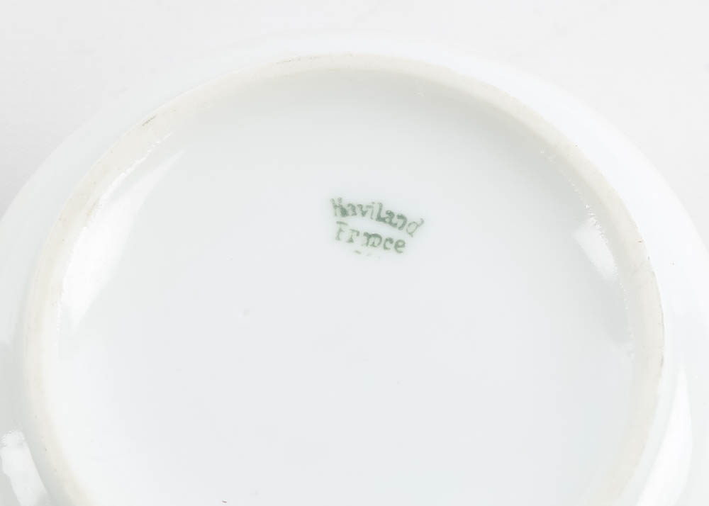 Haviland Limoges Ivory China