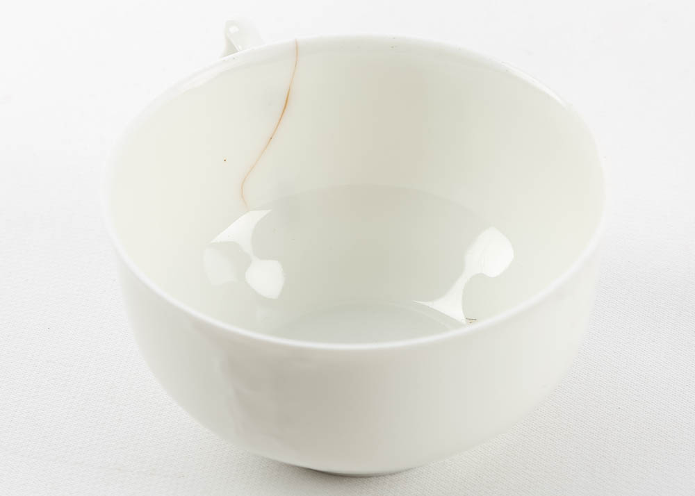 Haviland Limoges Ivory China