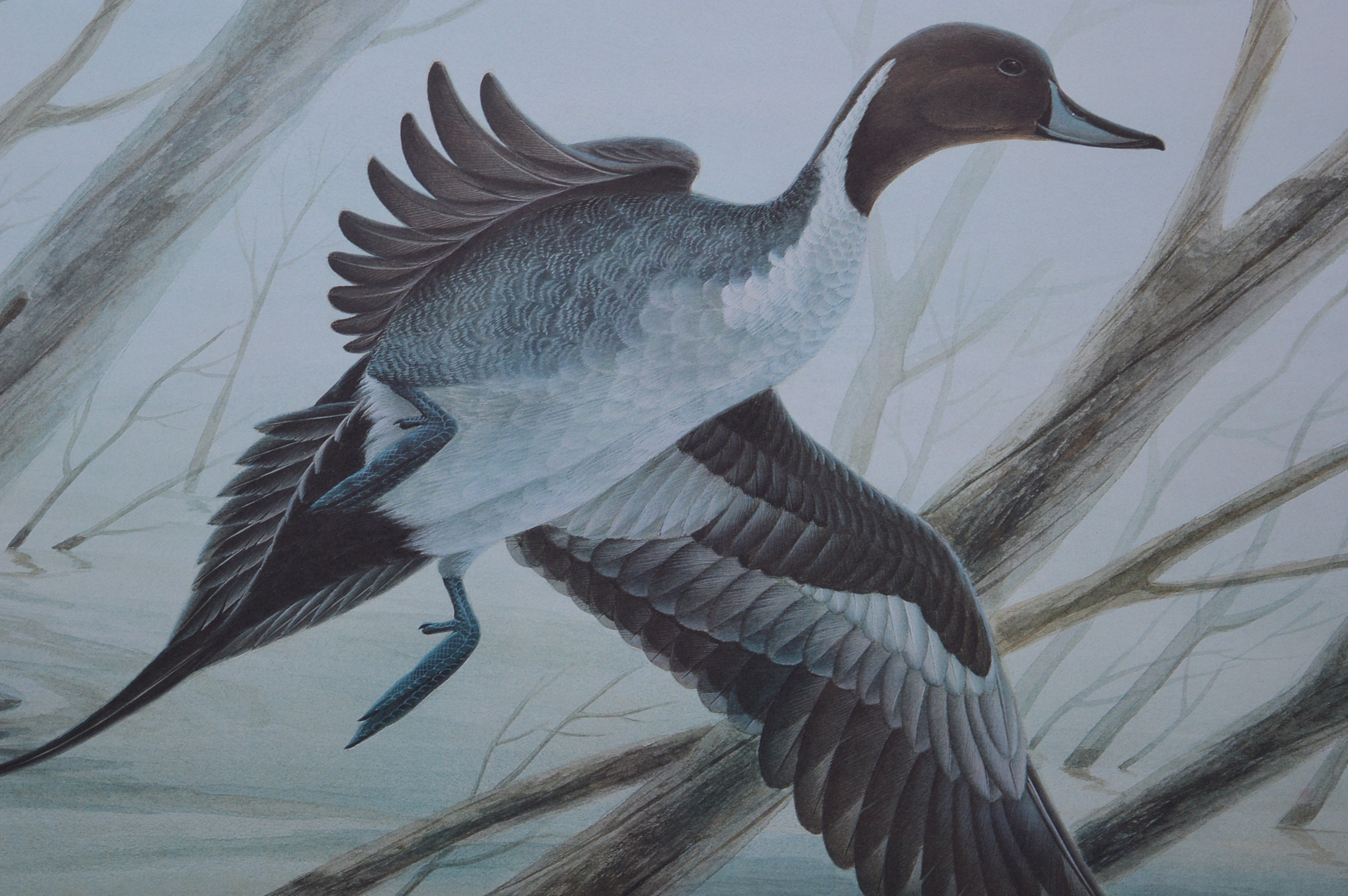 John Ruthven Artist Proof Signed and Numbered