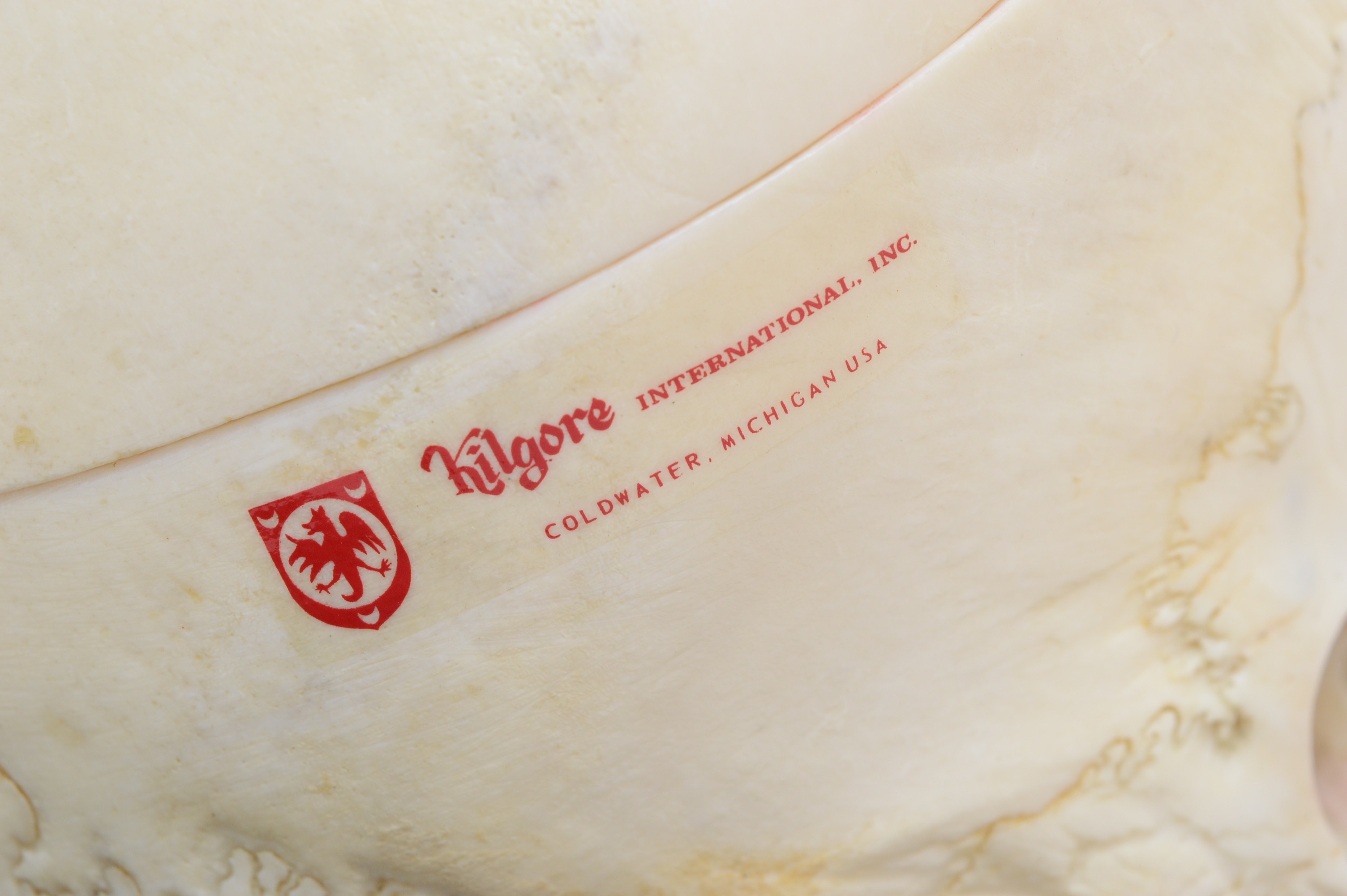 Authentic Human Anatomy Skull