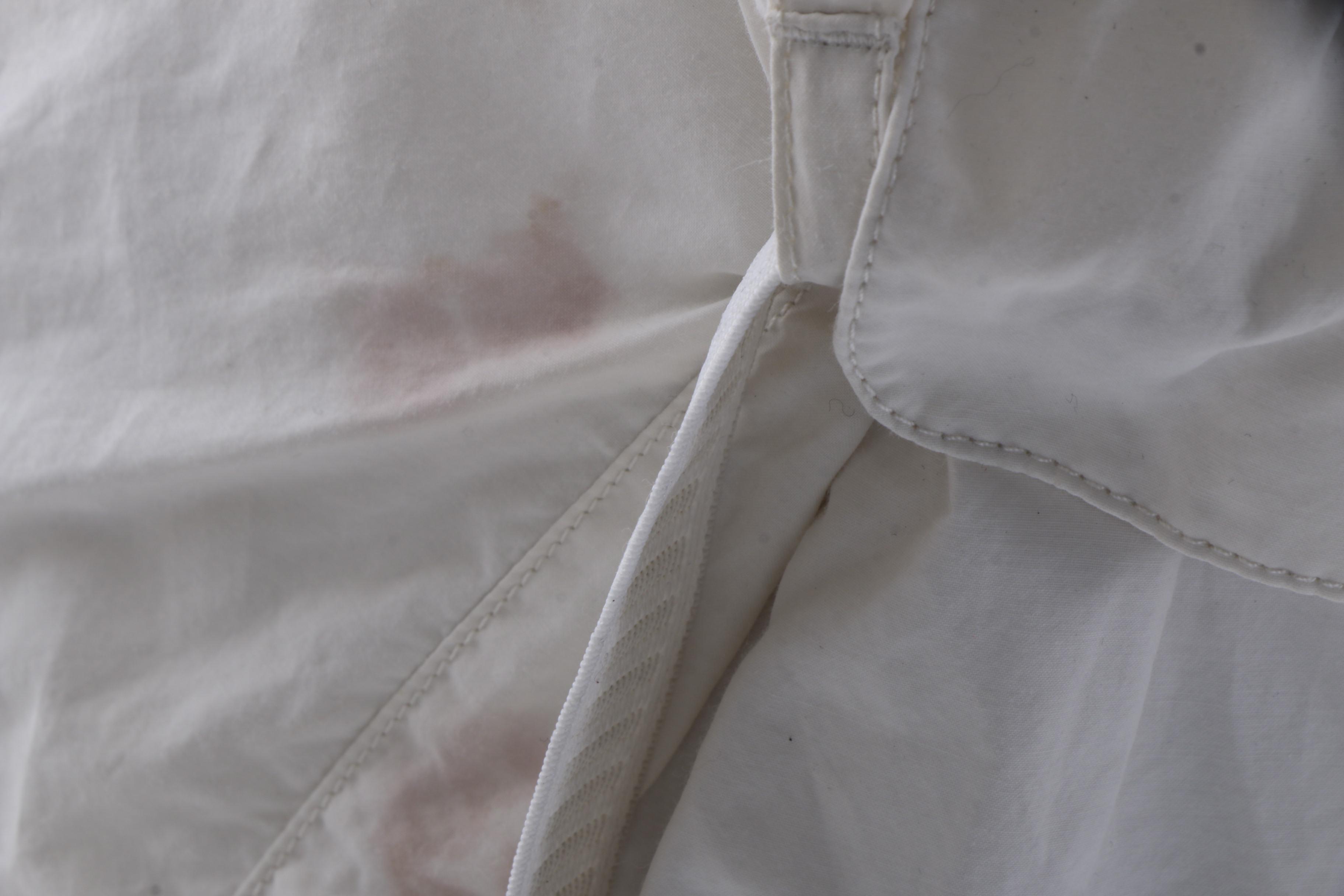 Women's Prada Rain Jacket