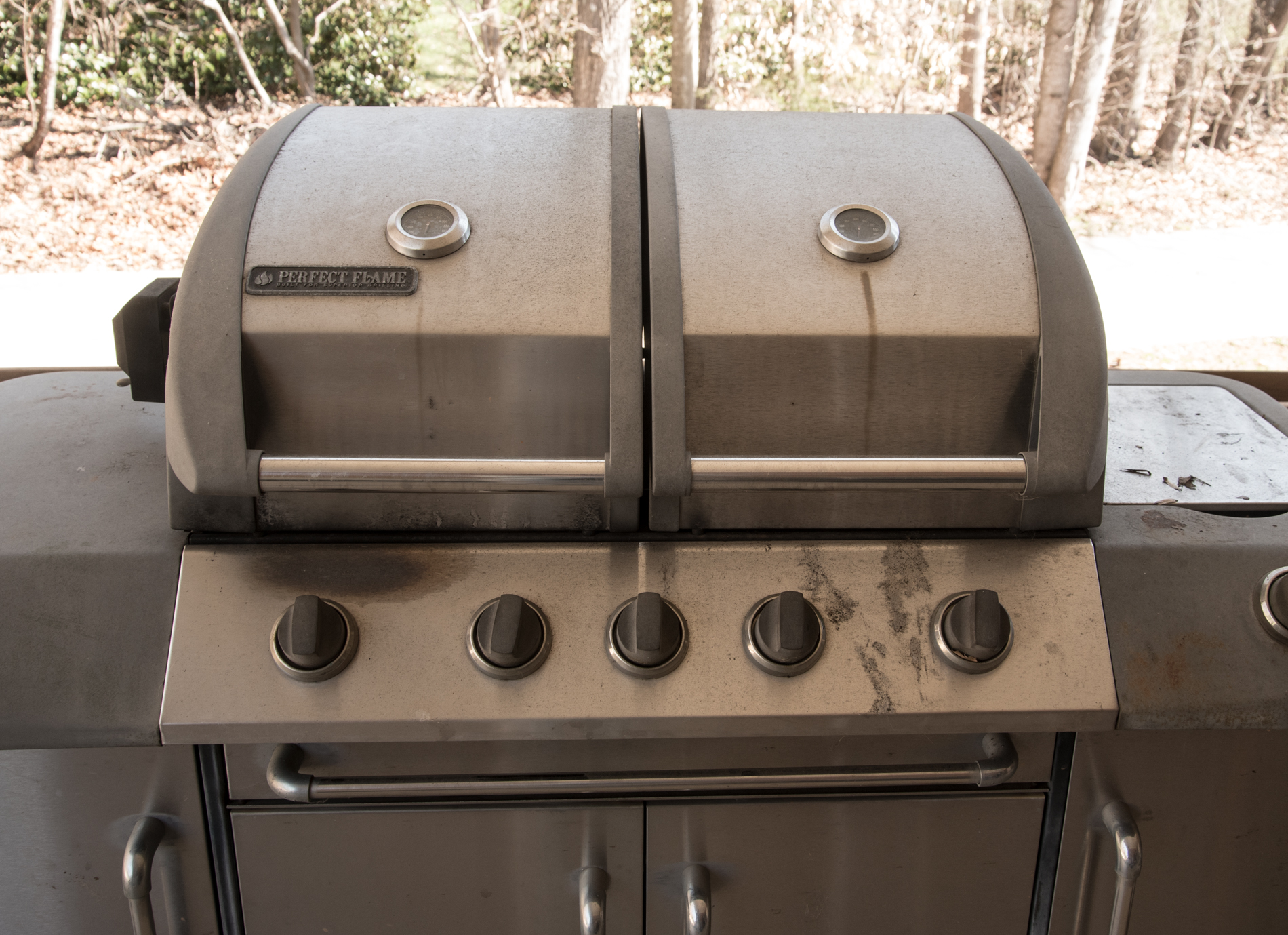 Perfect Flame Gas Grill
