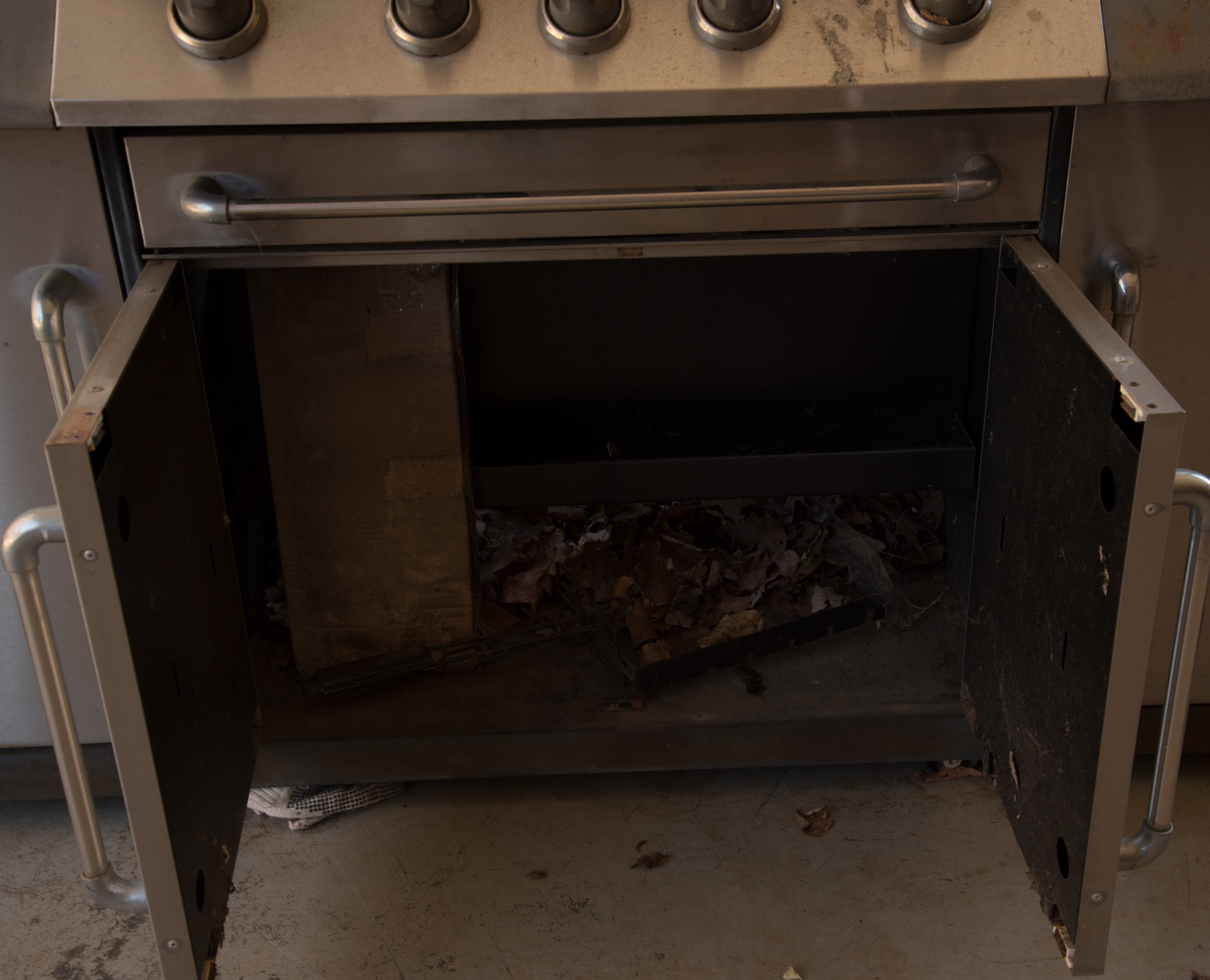 Perfect Flame Gas Grill