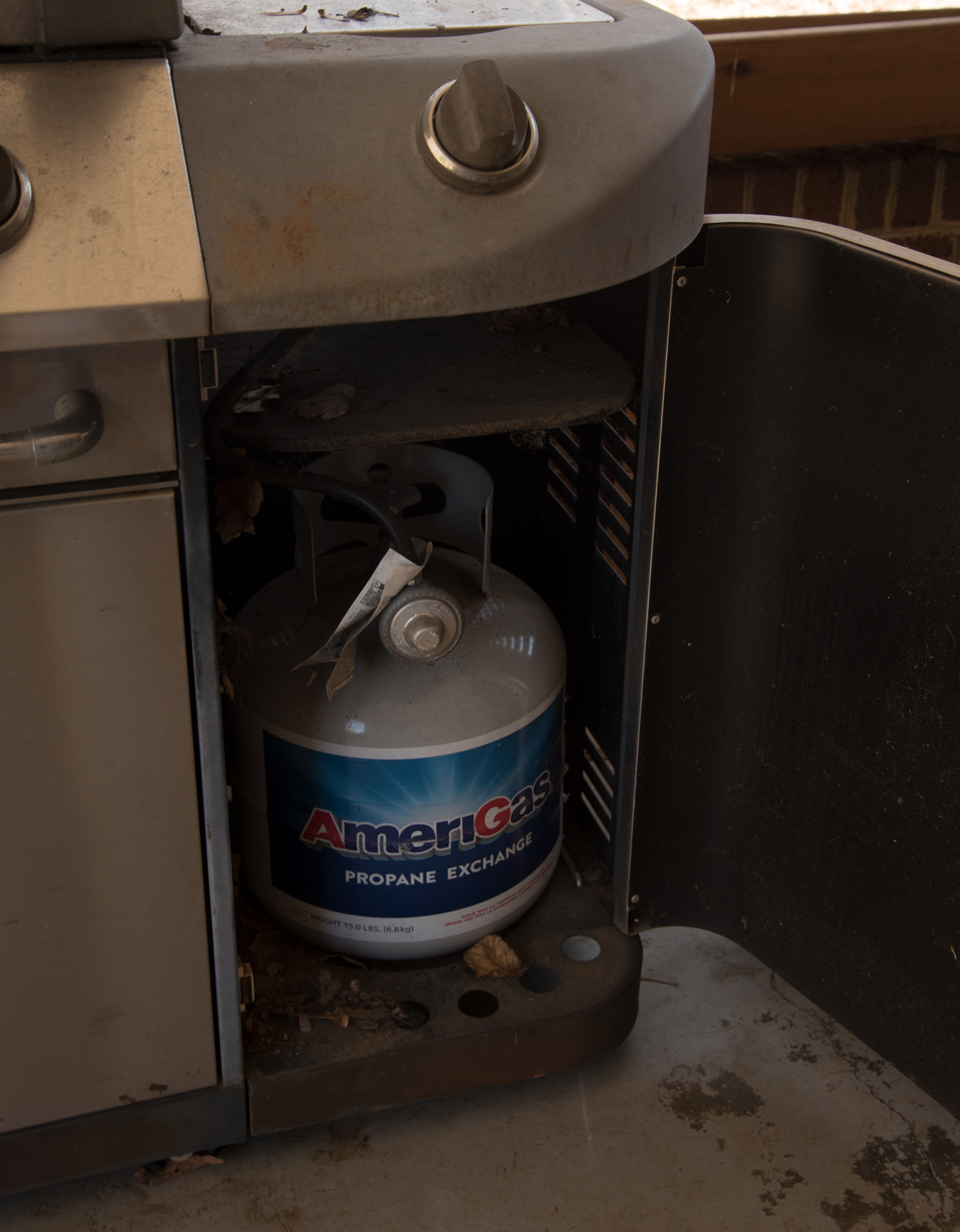 Perfect Flame Gas Grill