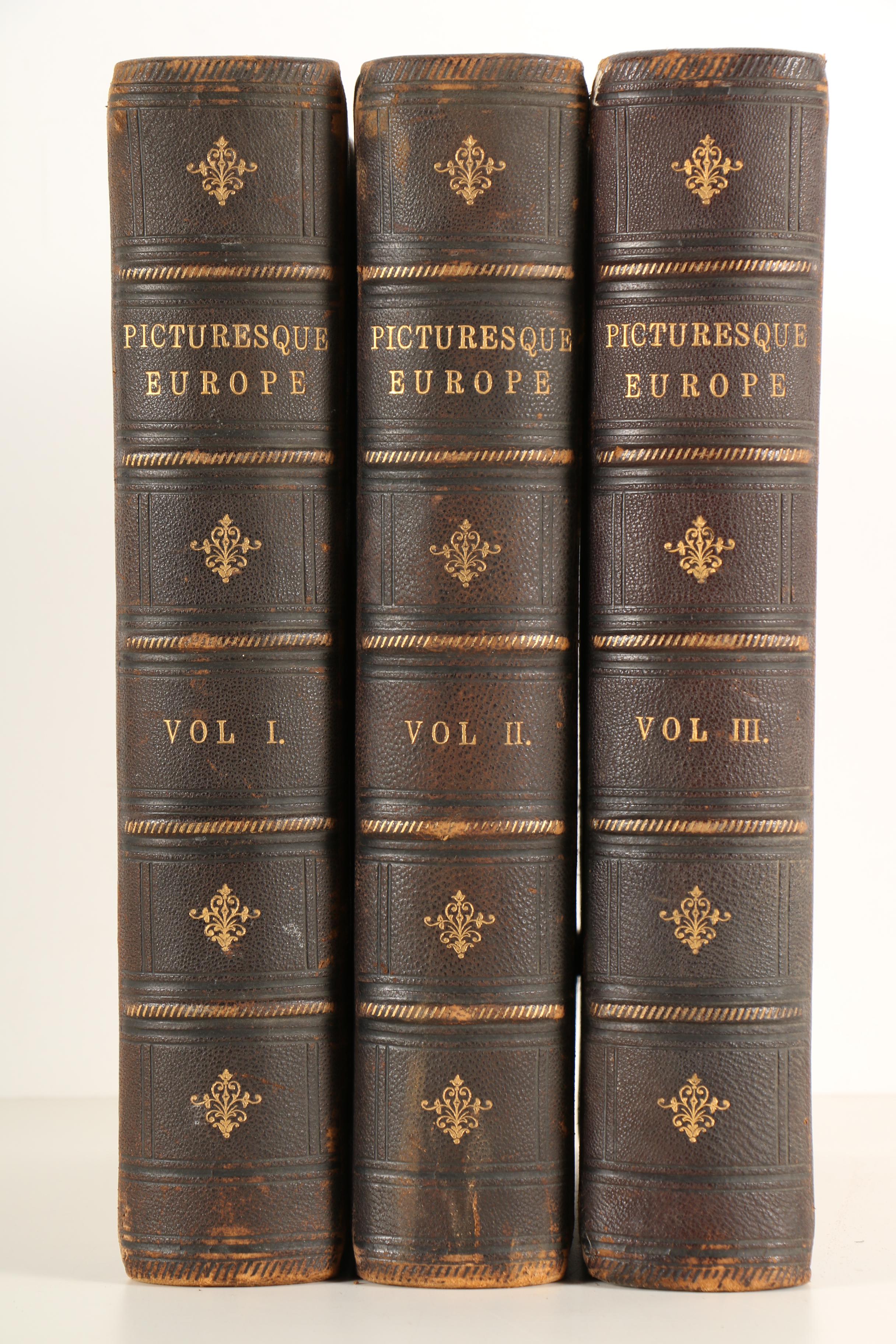1870s Complete Set of "Picturesque Europe"