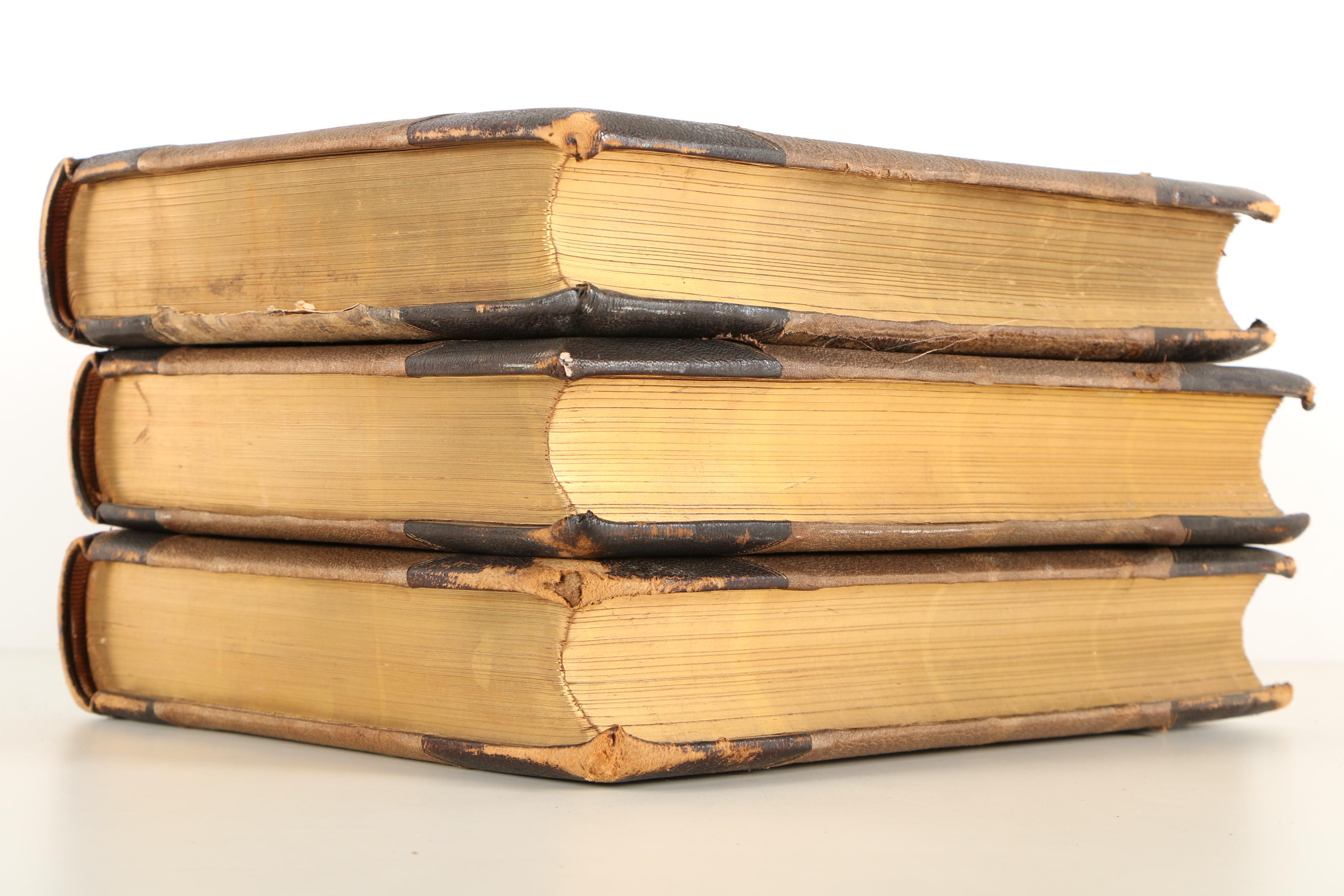 1870s Complete Set of "Picturesque Europe"