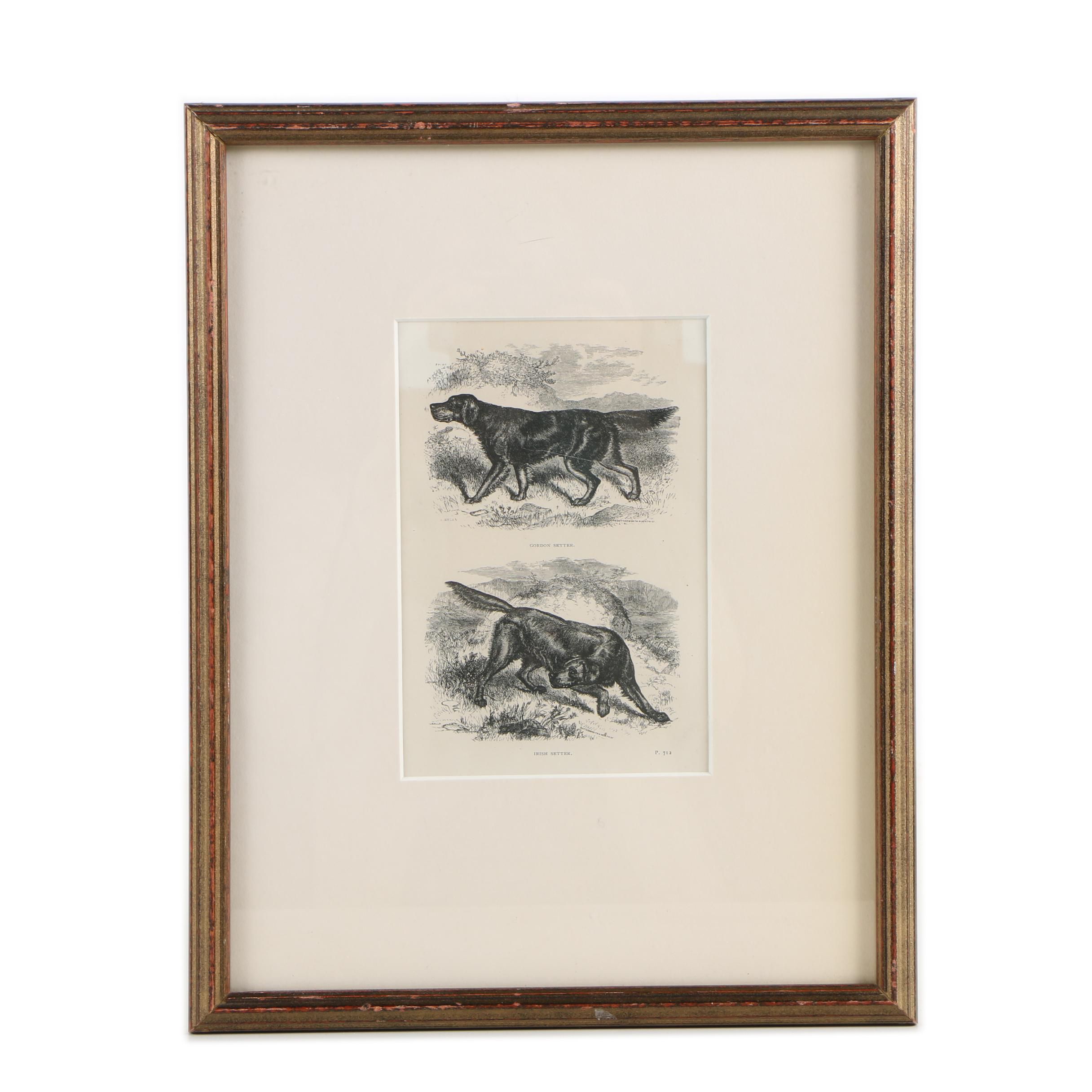 Lithograph After Butterworth and Heath of Gordon Setter and Irish Setter