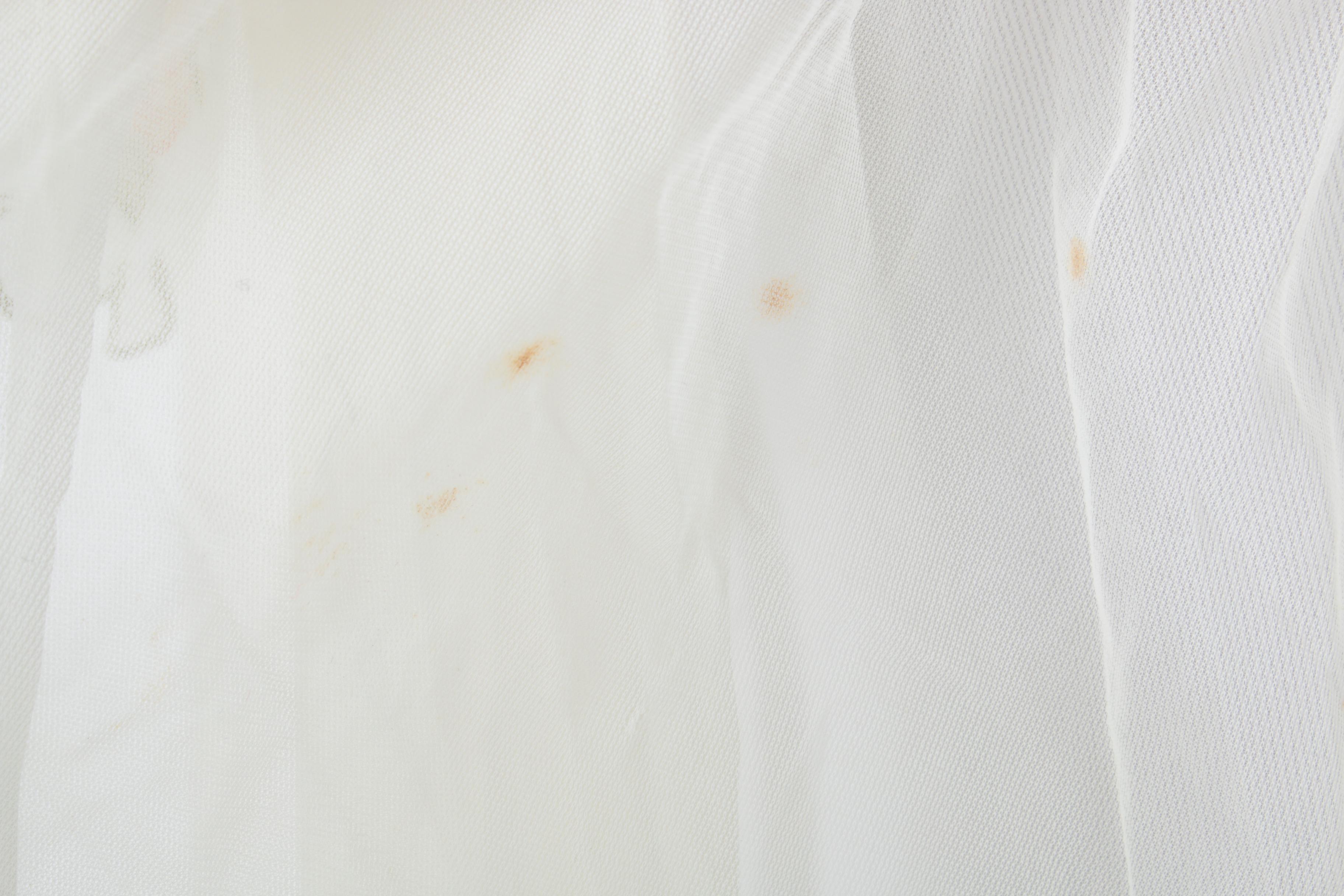 Vintage Elsa Schiaparelli Sheer House Robe with Embroidered Flowers