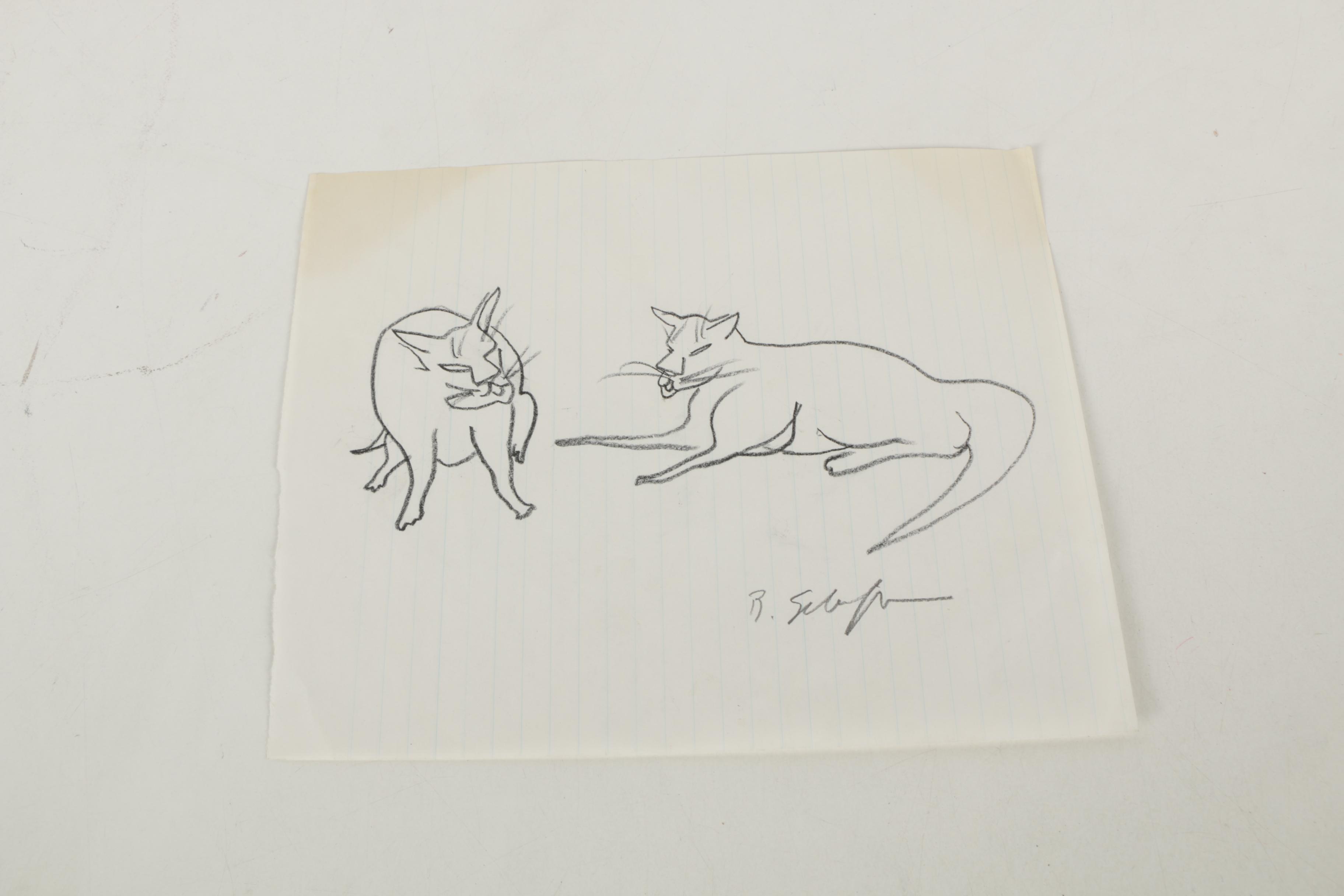 Bill Schiffer Sketches of Cats