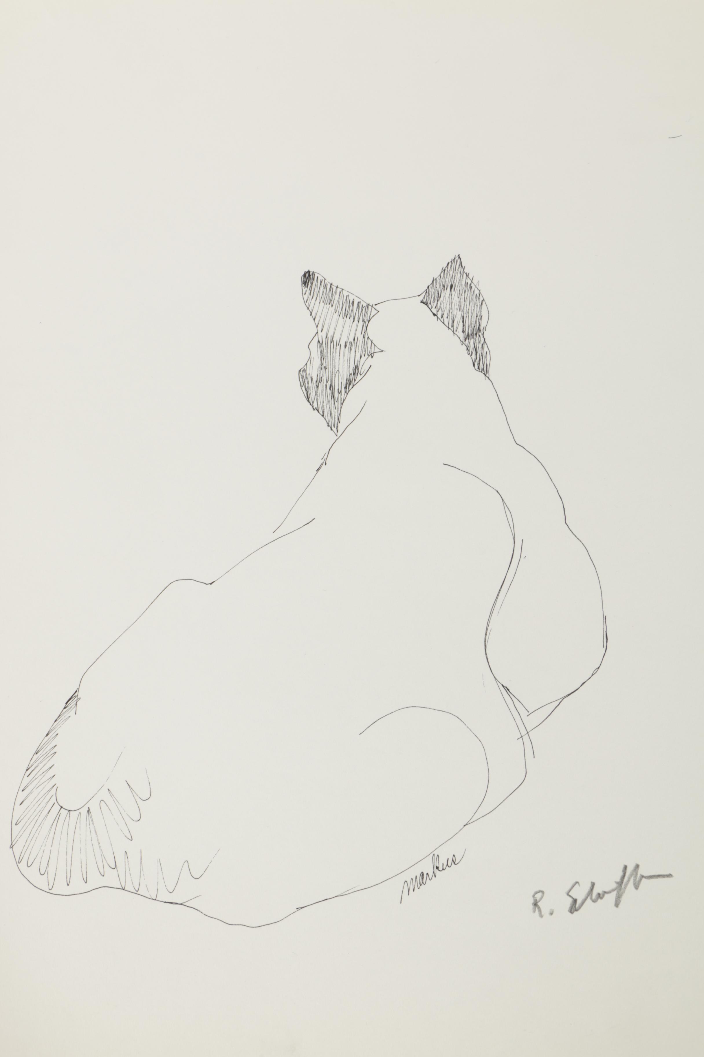 Bill Schiffer Sketches of Cats