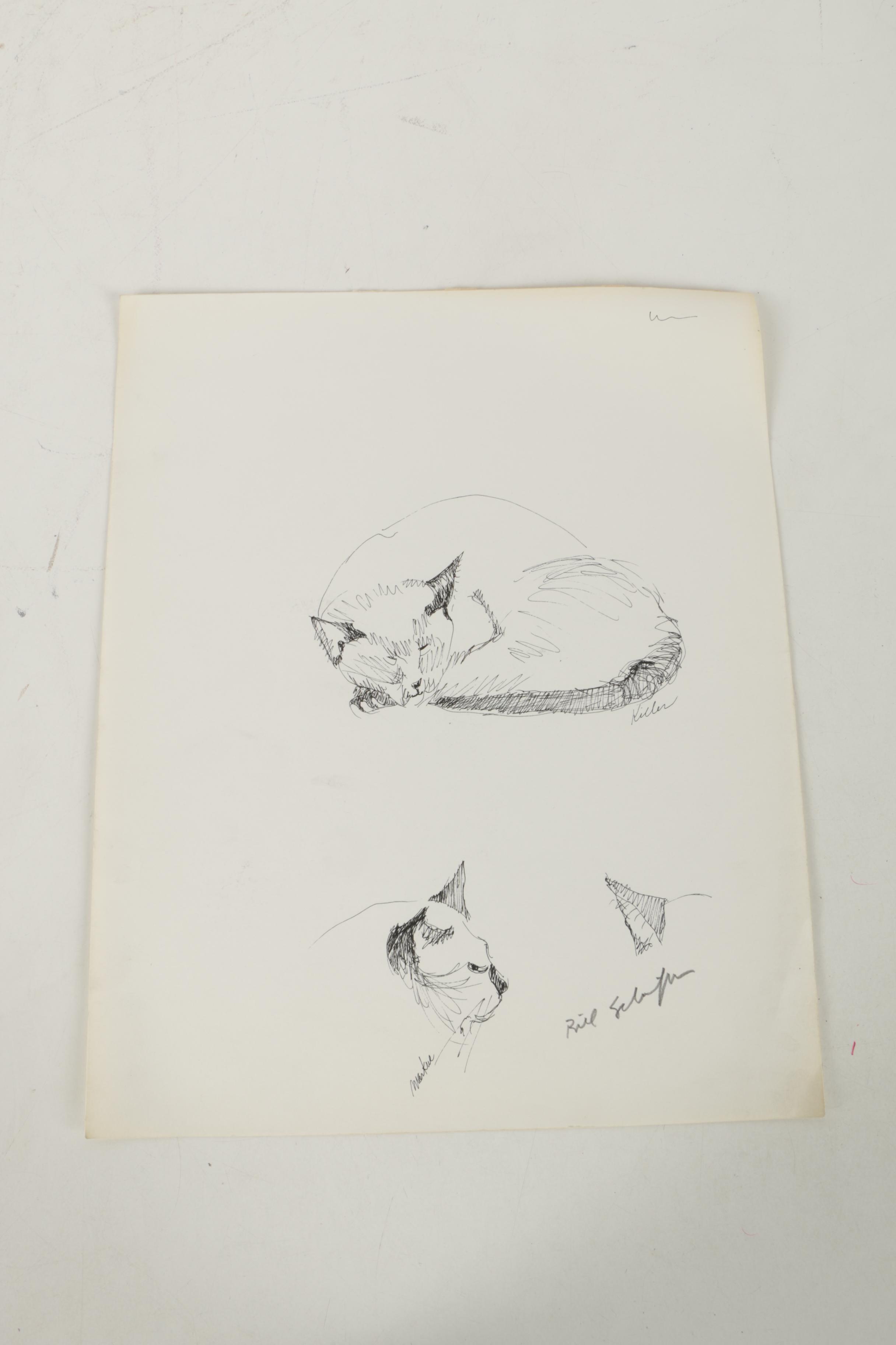 Bill Schiffer Sketches of Cats