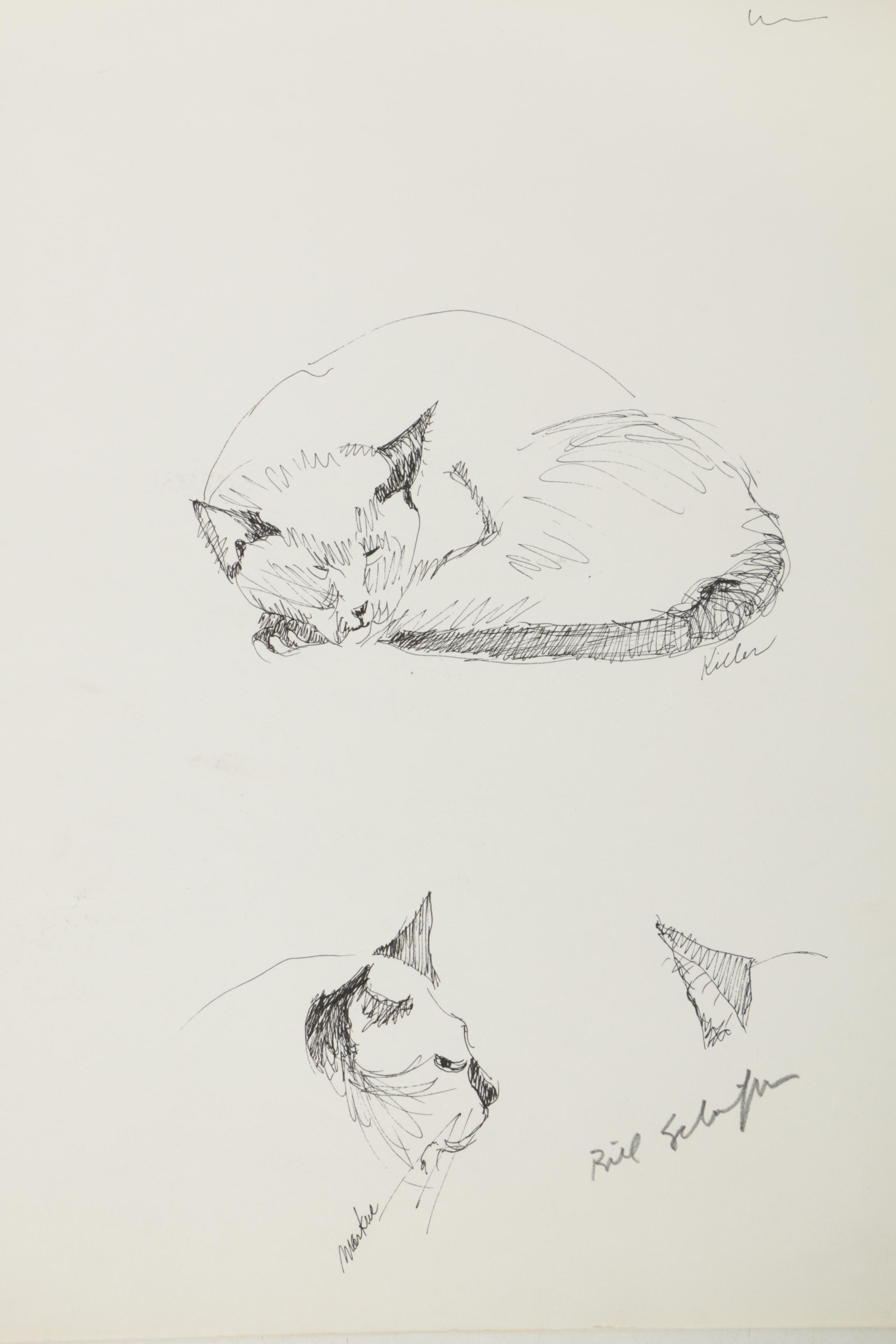 Bill Schiffer Sketches of Cats