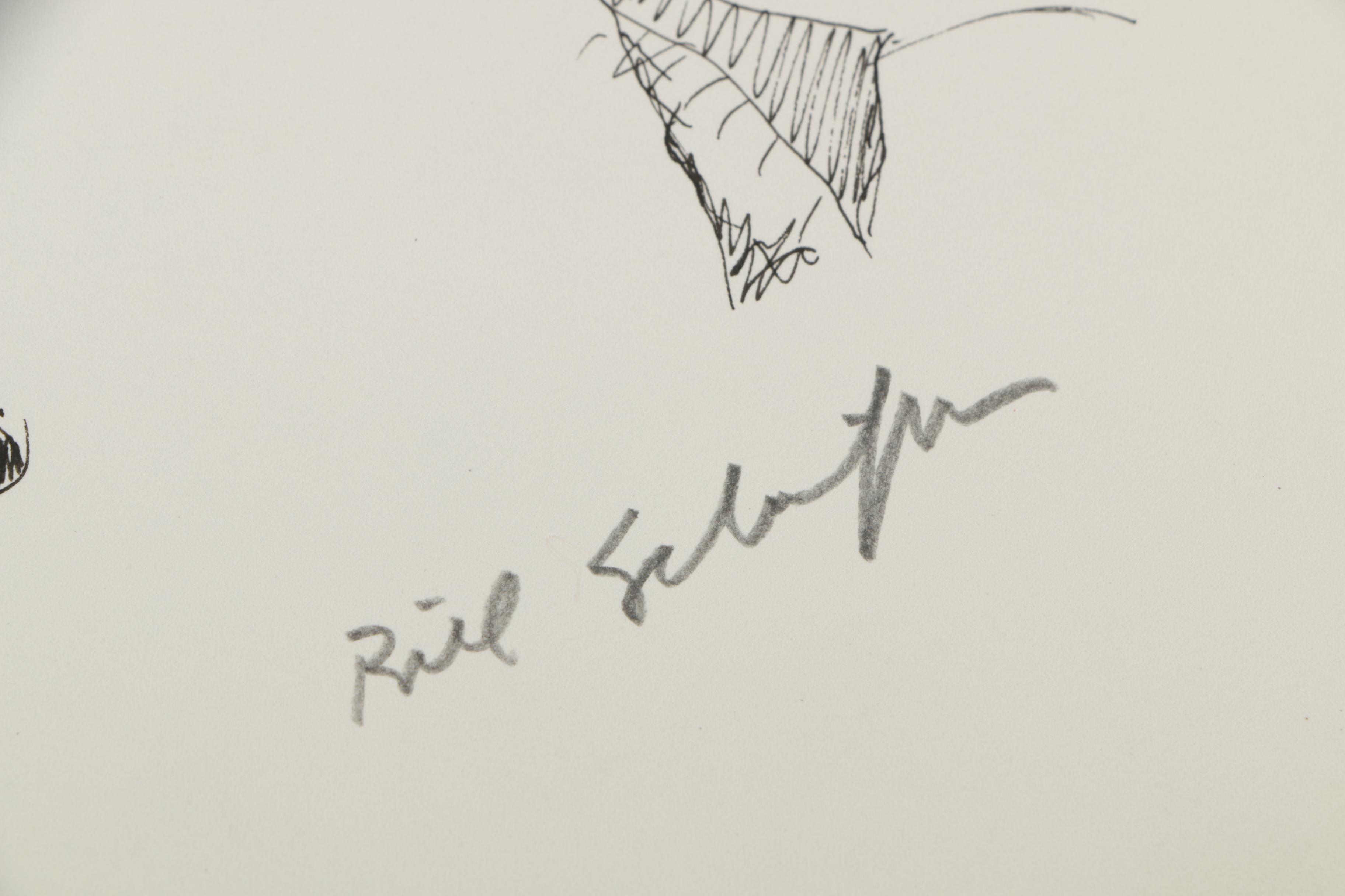 Bill Schiffer Sketches of Cats