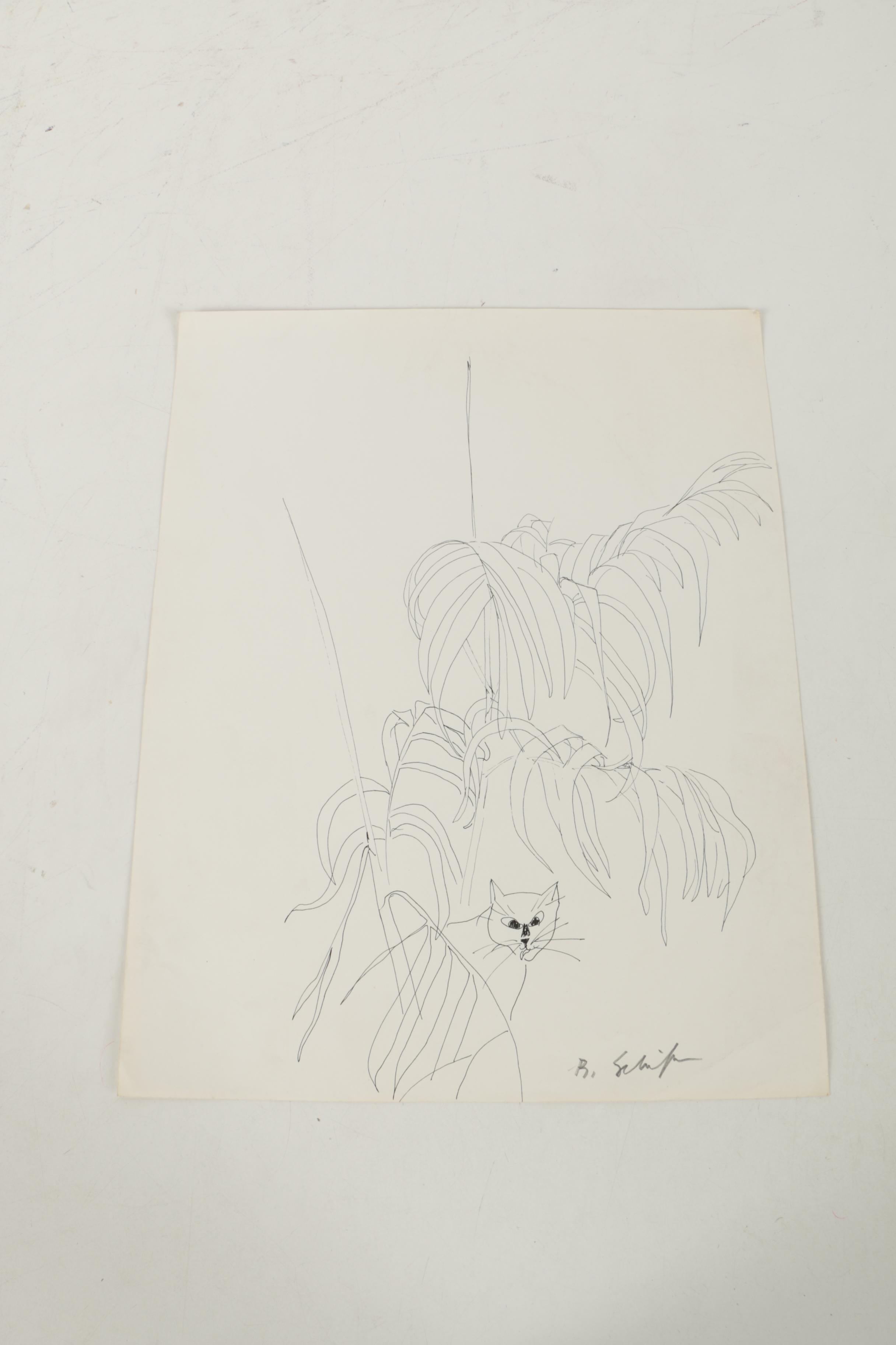 Bill Schiffer Sketches of Cats