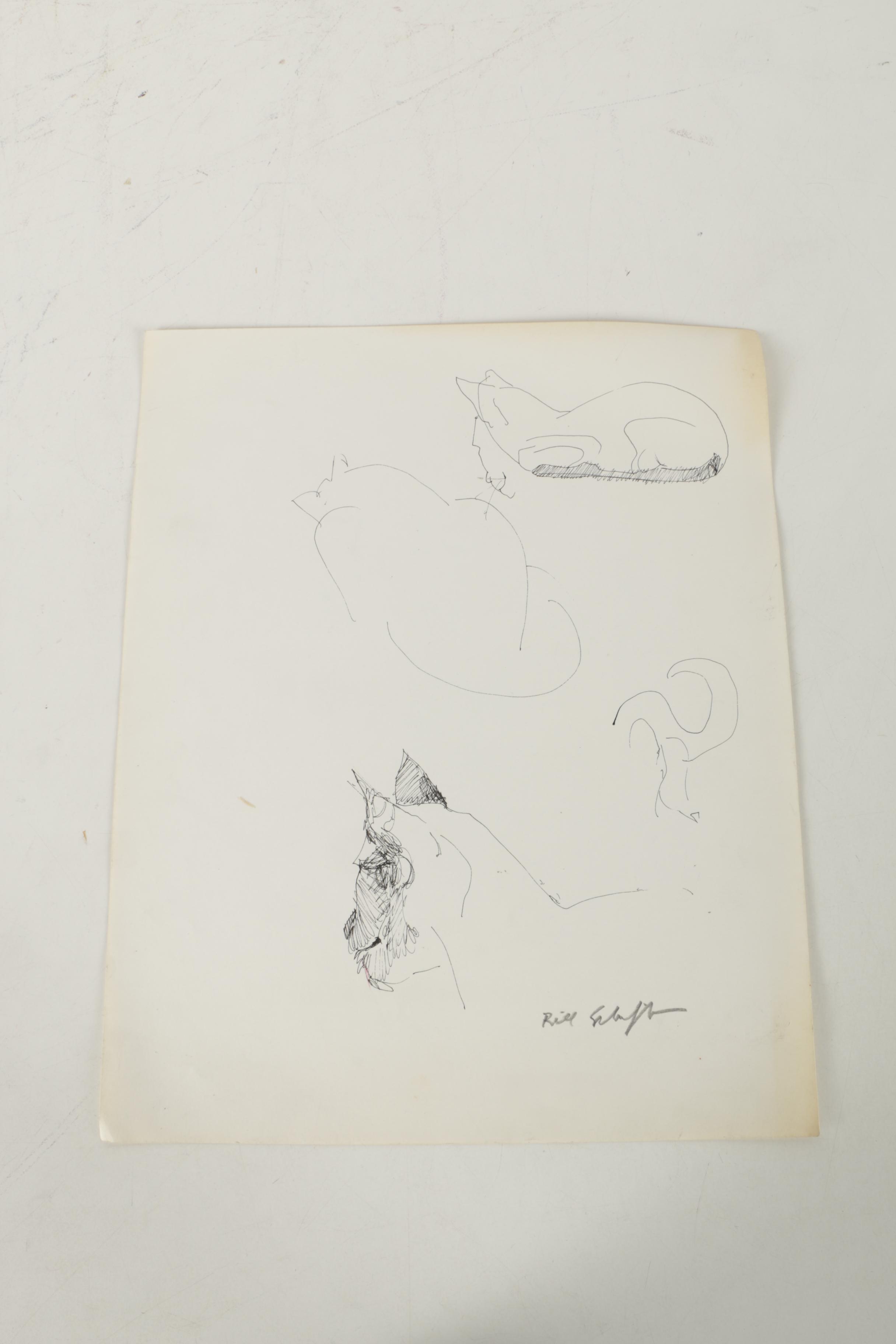 Bill Schiffer Sketches of Cats