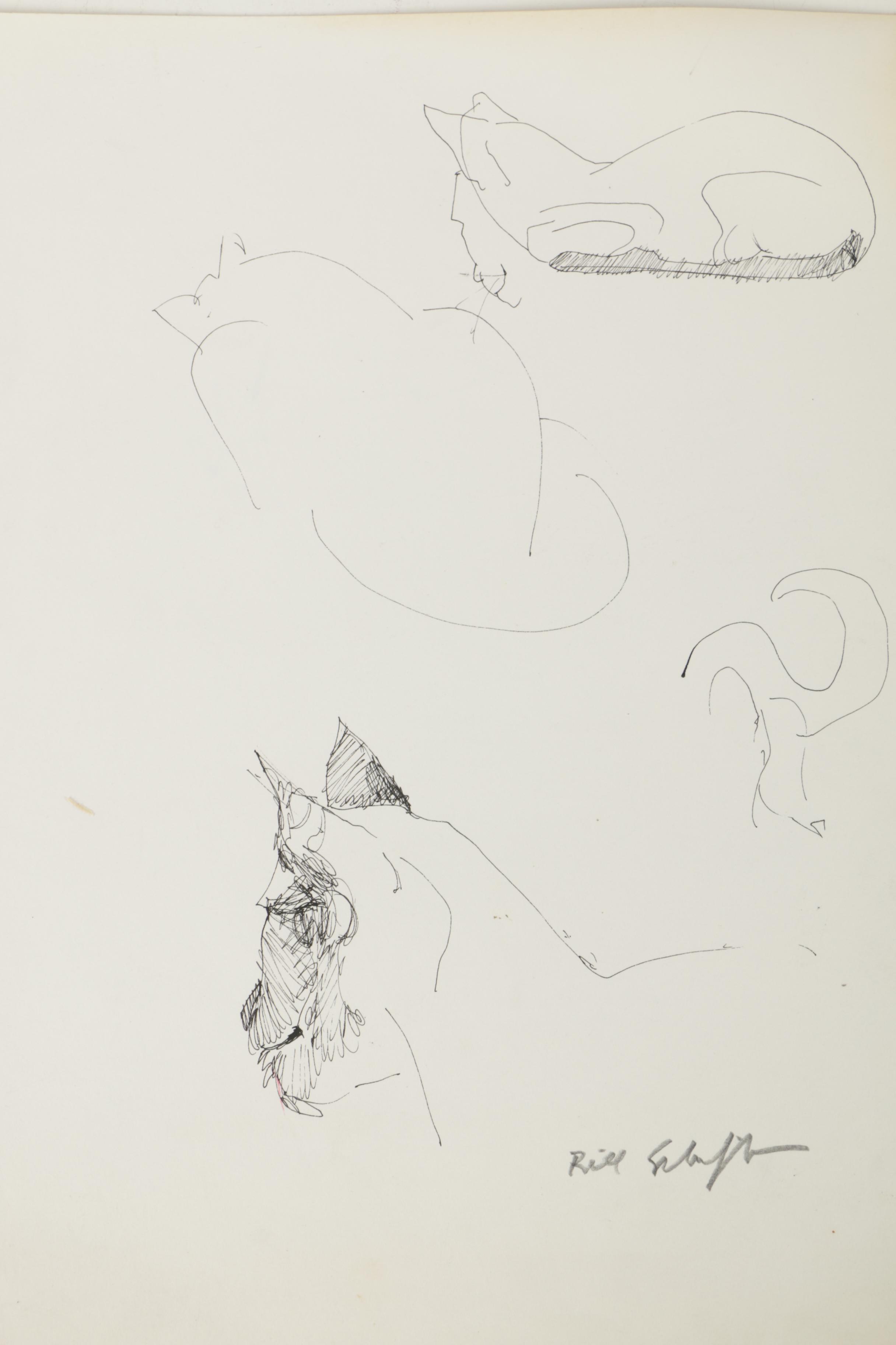 Bill Schiffer Sketches of Cats