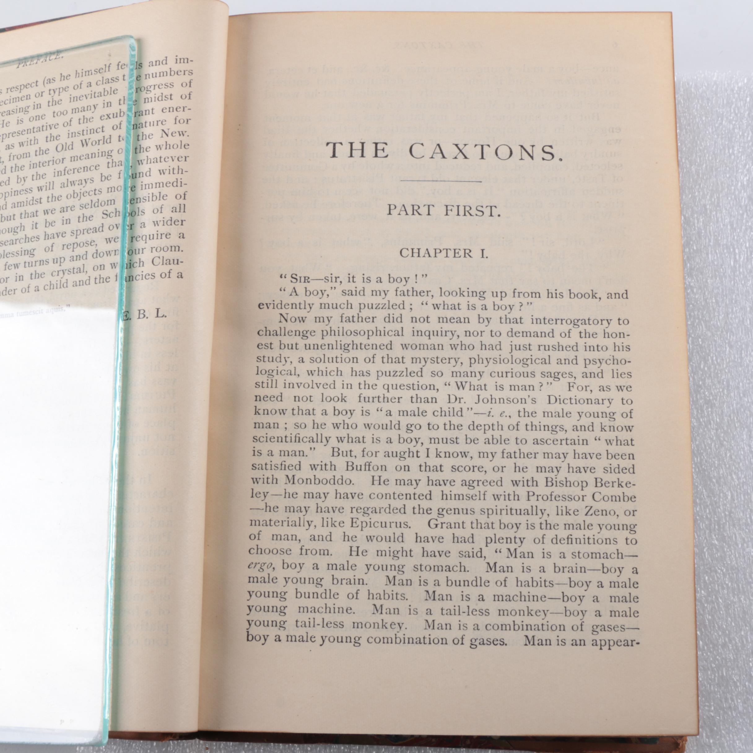 Antique Multi-Volume Set of Works by Edward Bulwer Lytton