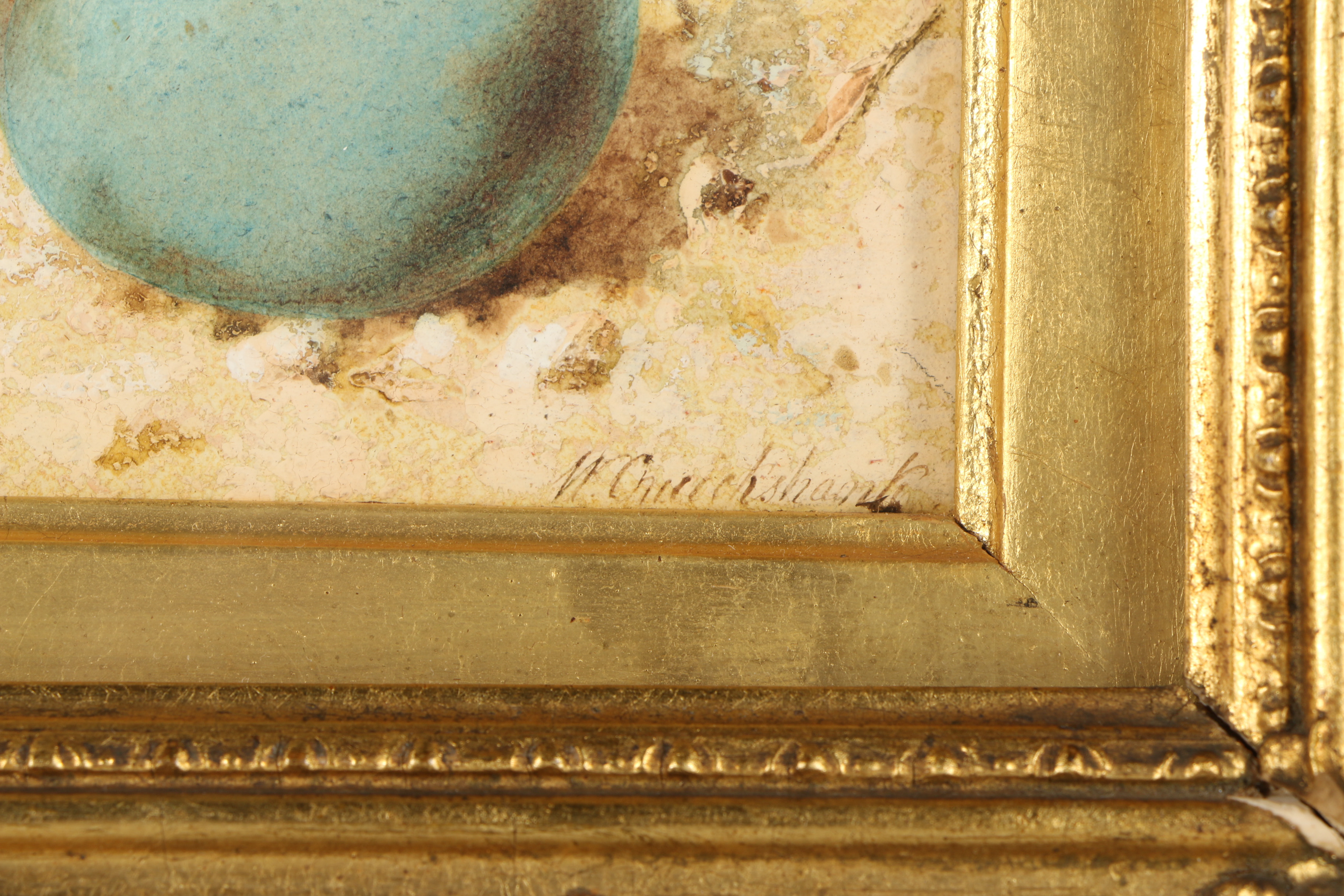 William Cruickshank Watercolor and Gouache Still Life