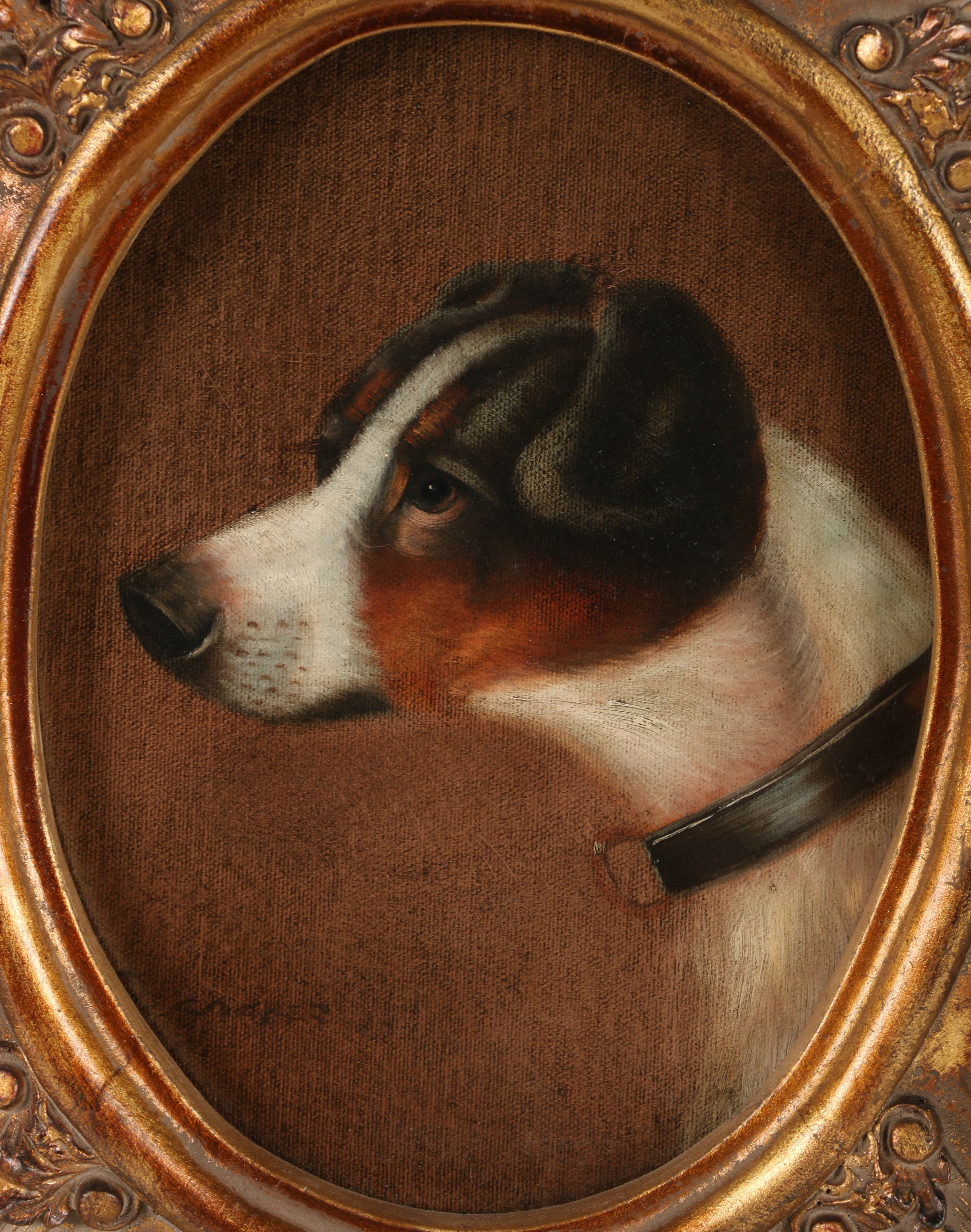 Oil Painting "Jack Russell"