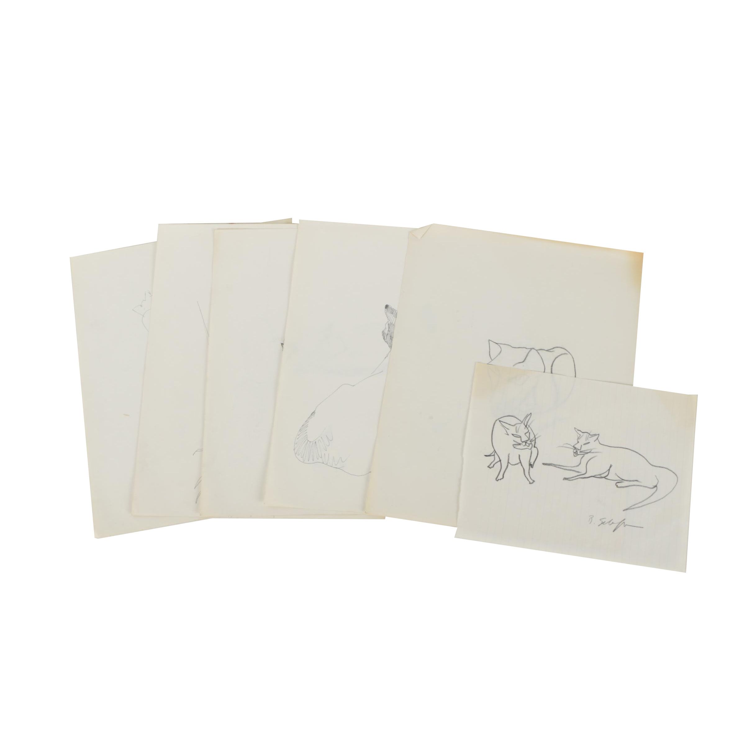 Bill Schiffer Sketches of Cats