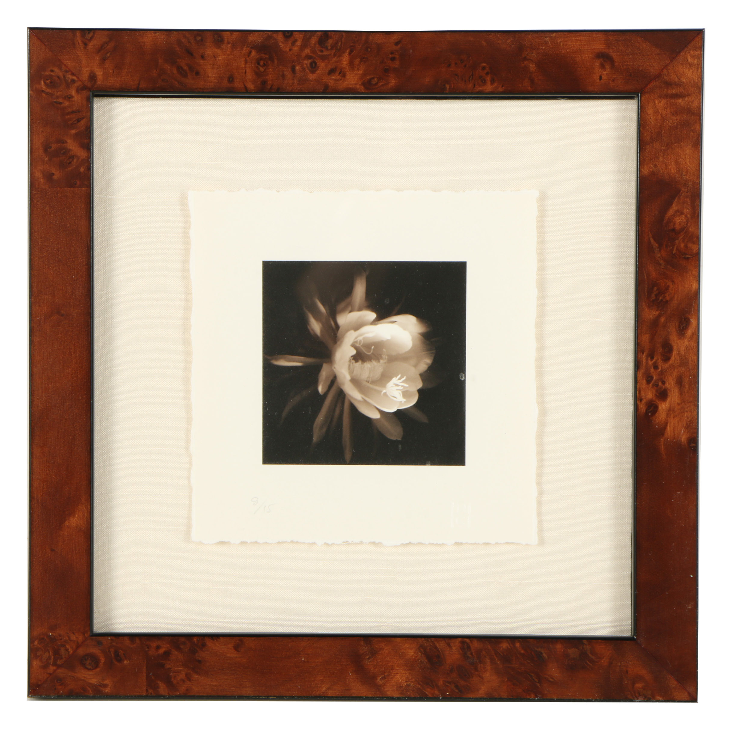 H.D.C Sepia Photograph of Flower