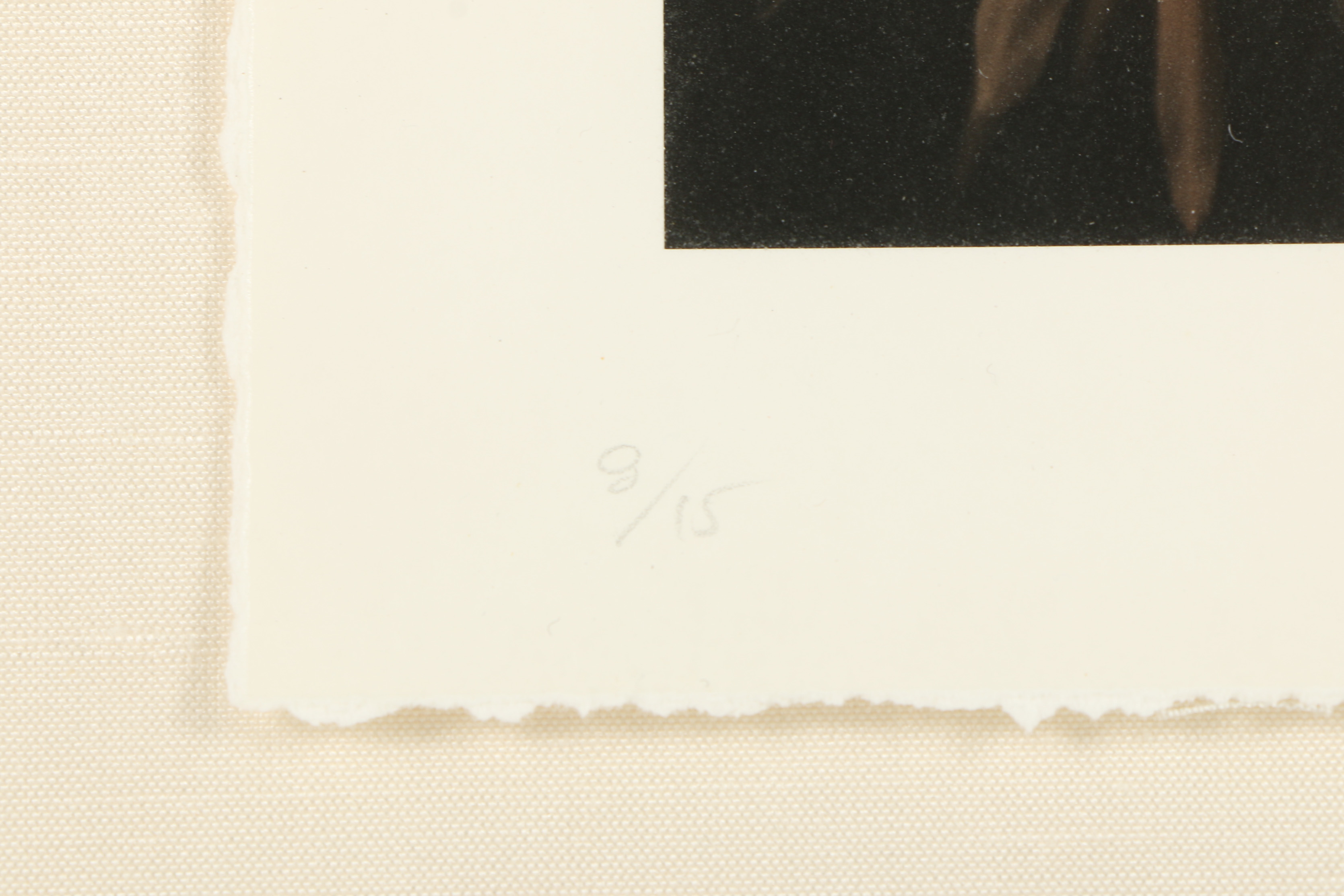 H.D.C Sepia Photograph of Flower