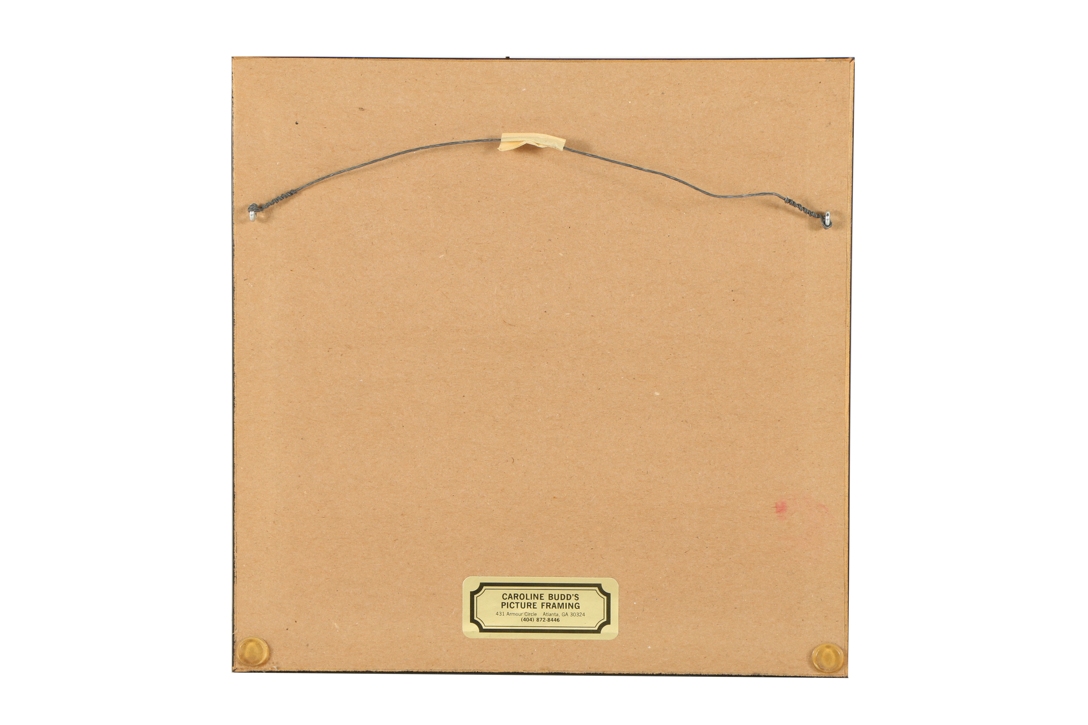 H.D.C Sepia Photograph of Flower