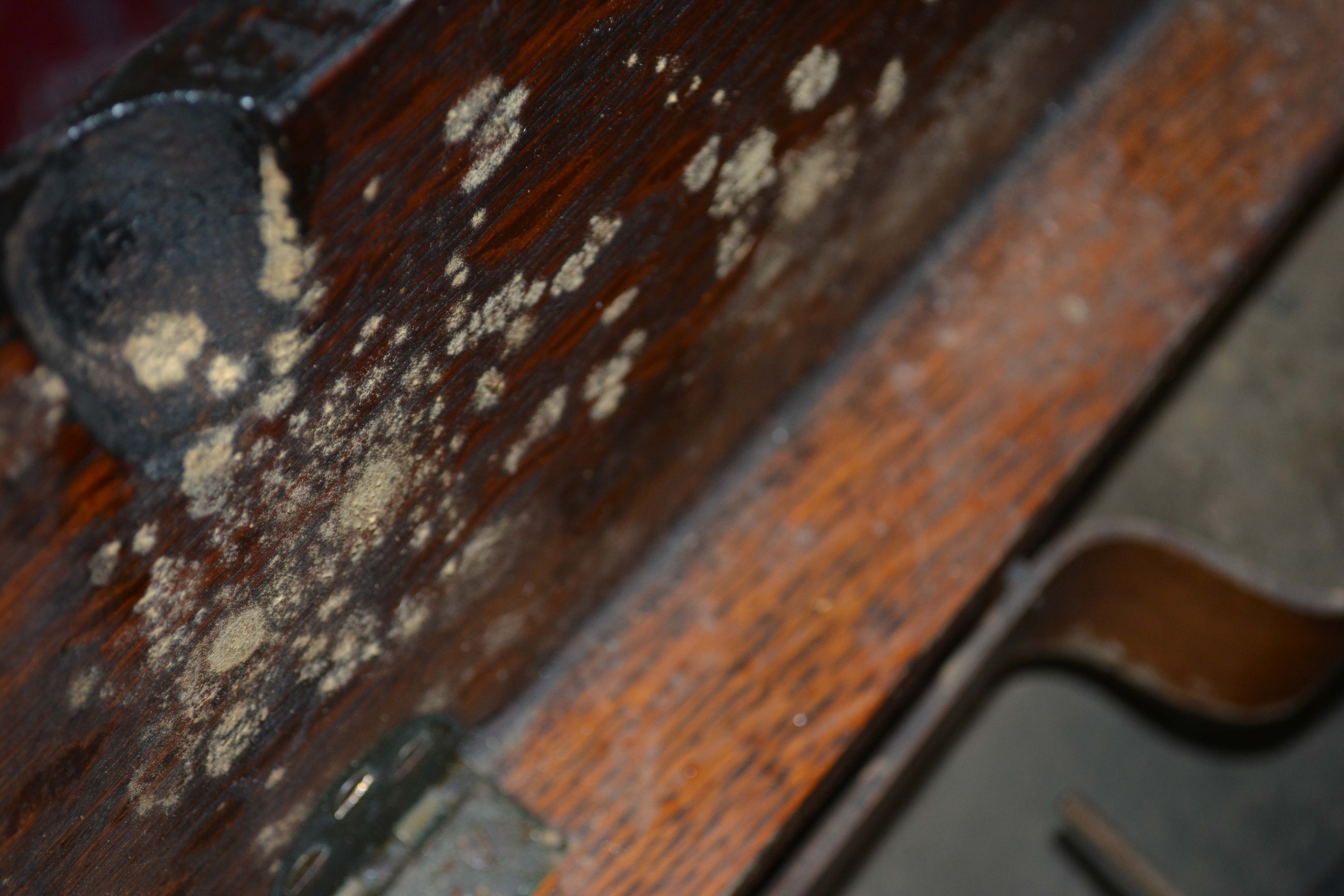 Antique Singer Treadle Sewing Machine