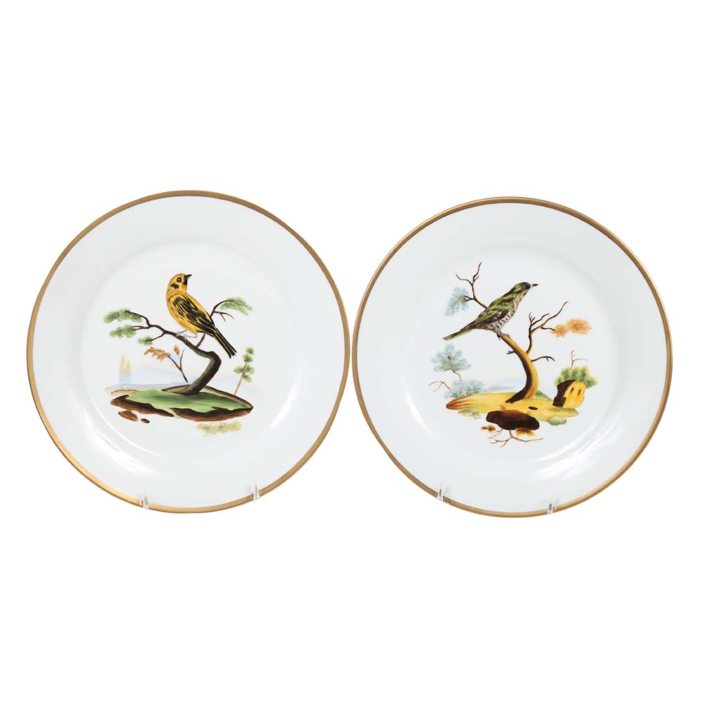 Chelsea House Decorative Gold Rimmed Bird Plates