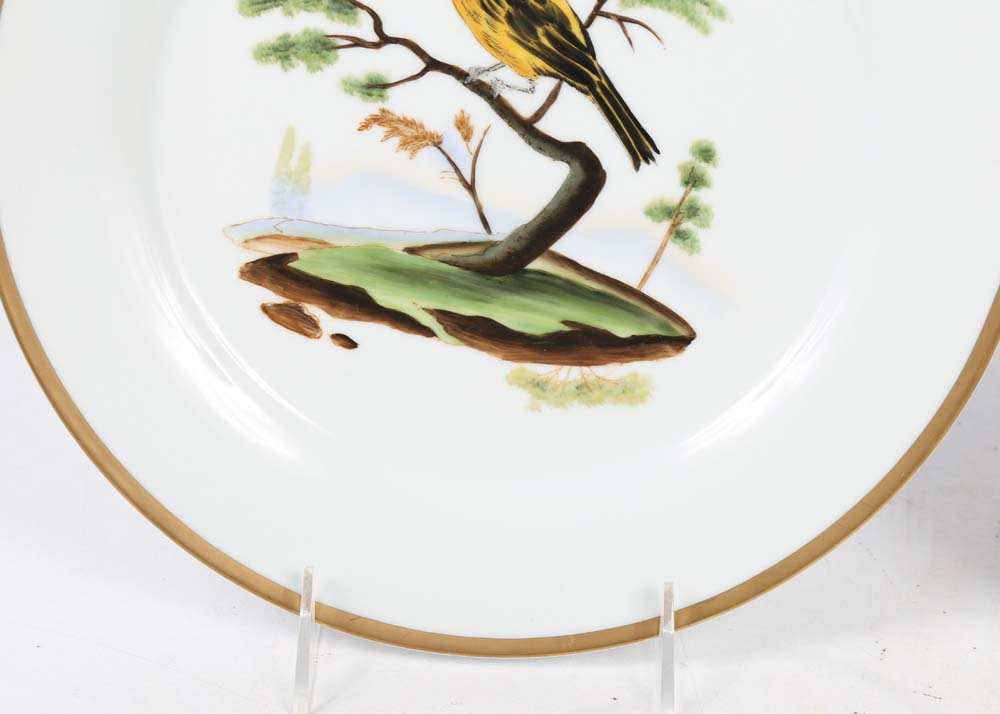 Chelsea House Decorative Gold Rimmed Bird Plates
