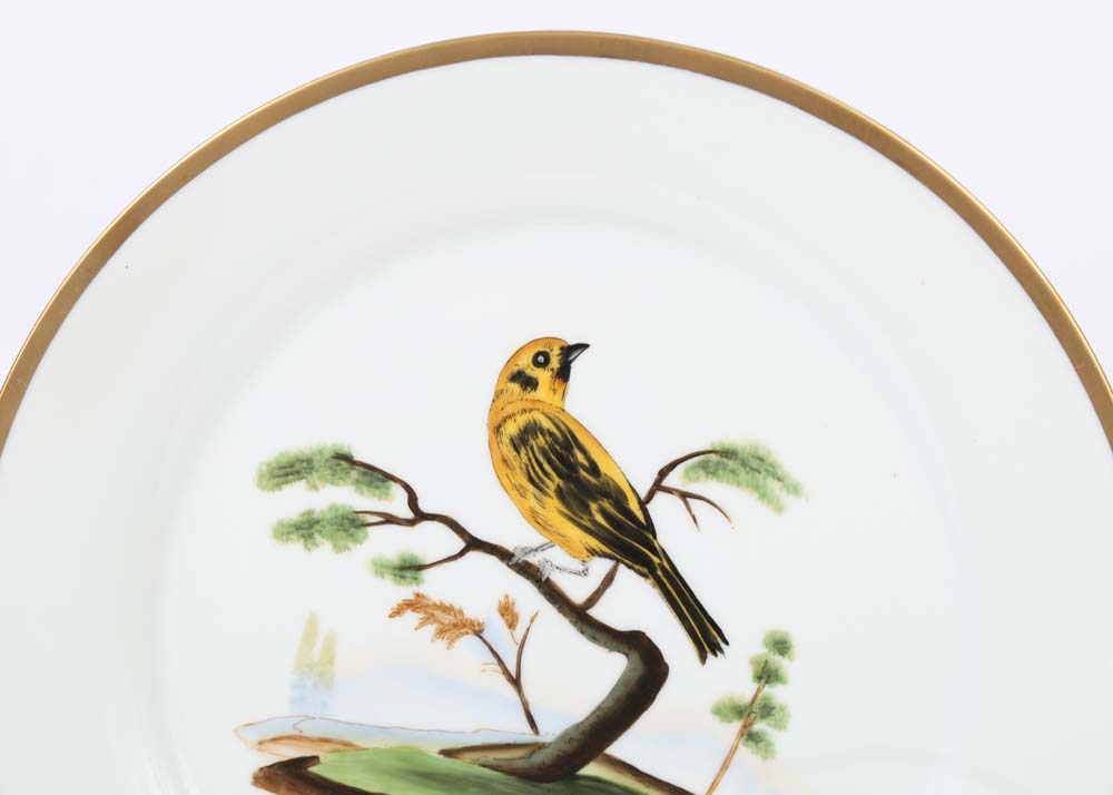 Chelsea House Decorative Gold Rimmed Bird Plates
