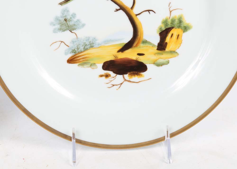 Chelsea House Decorative Gold Rimmed Bird Plates