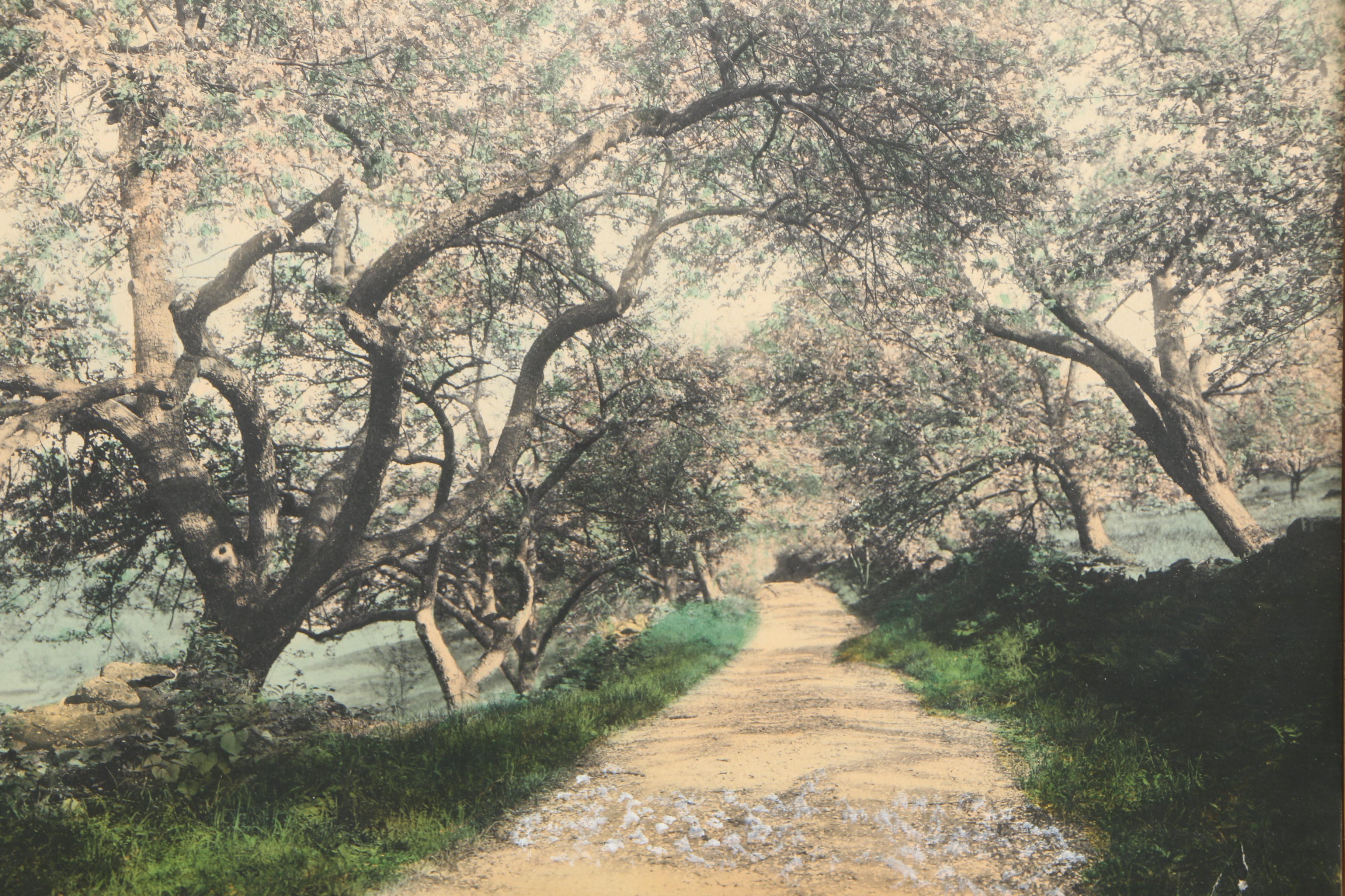 Wallace Nutting Hand Colored Photographs