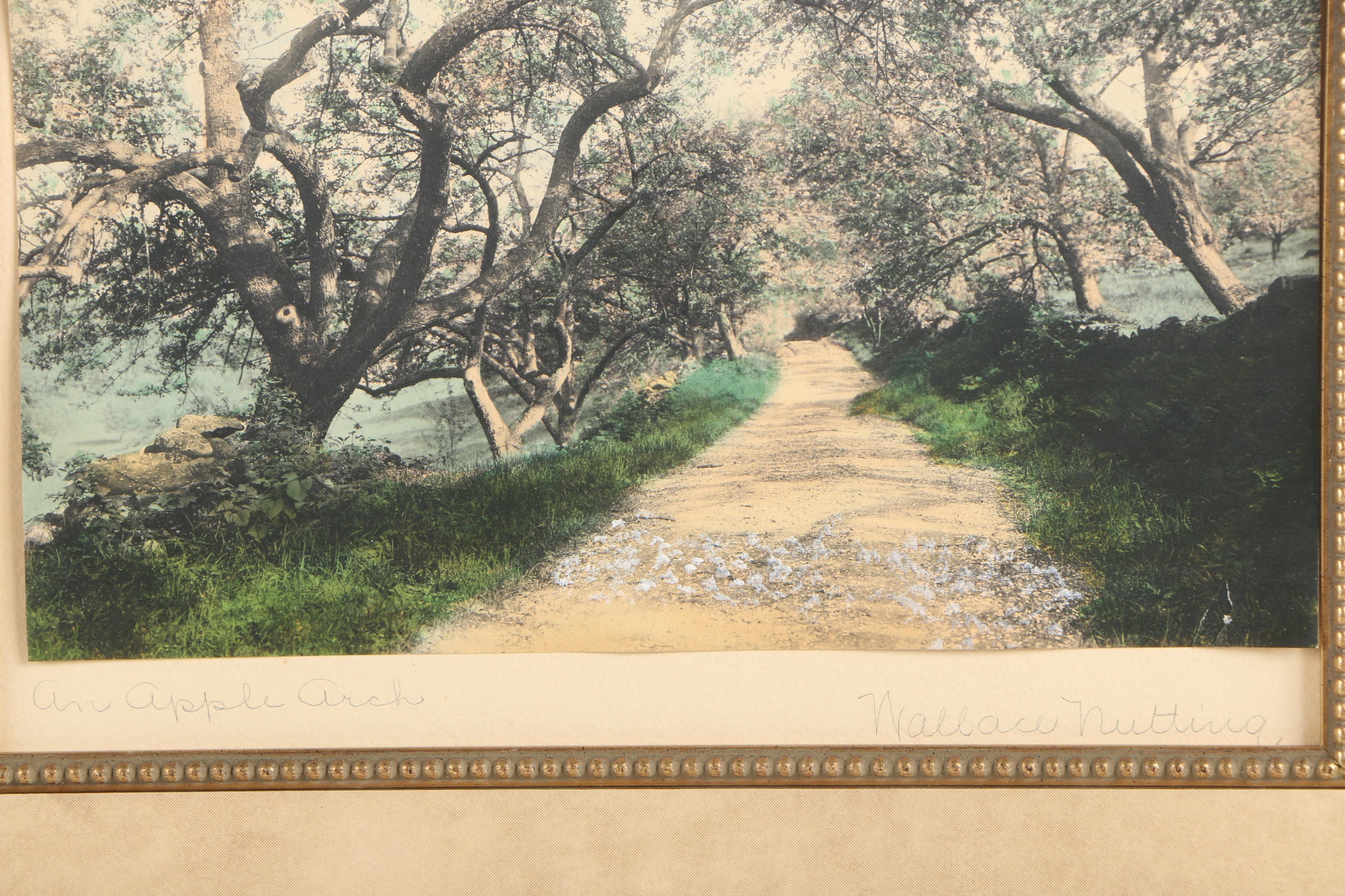Wallace Nutting Hand Colored Photographs