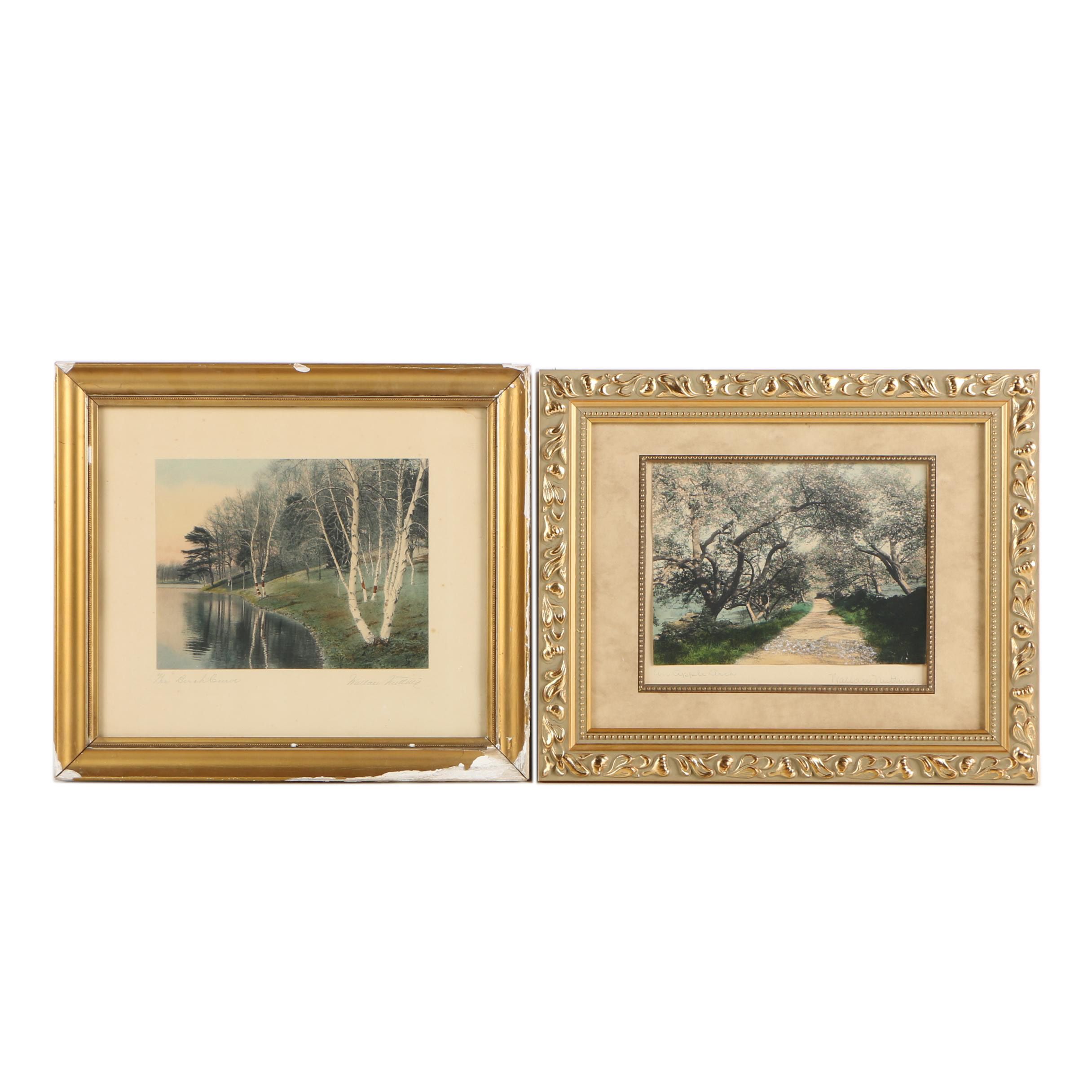 Wallace Nutting Hand Colored Photographs