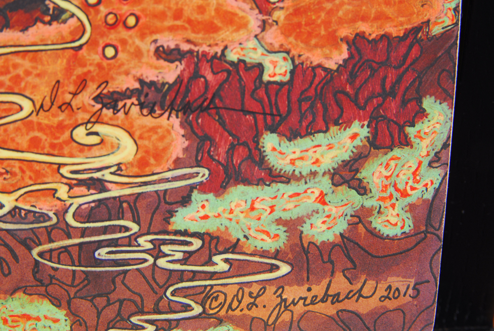 Debbie Lynn Zwiebach Limited Edition Print "Beta Fish"