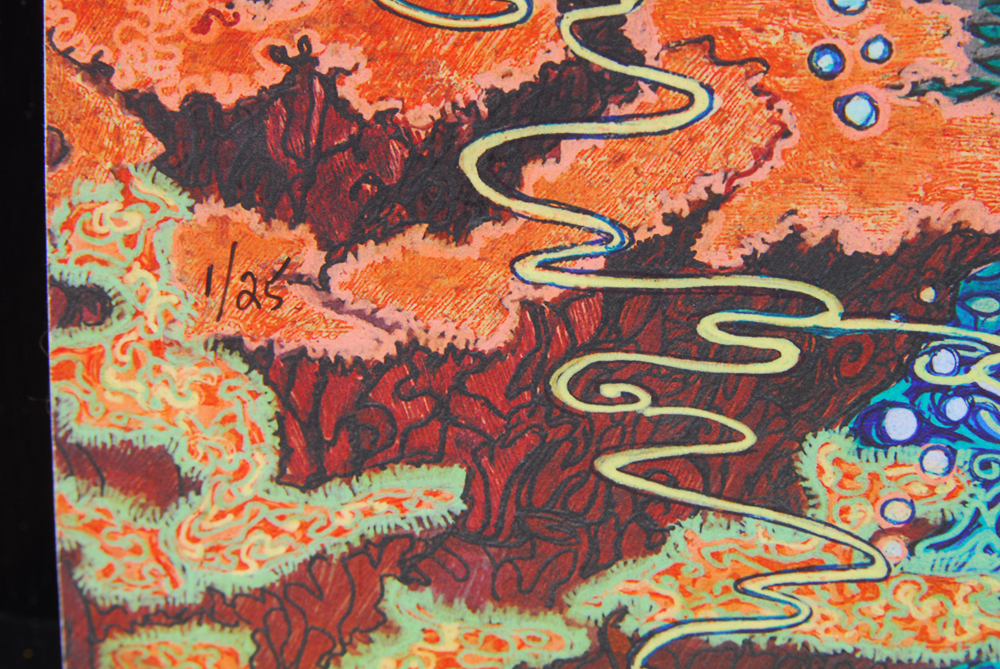 Debbie Lynn Zwiebach Limited Edition Print "Beta Fish"