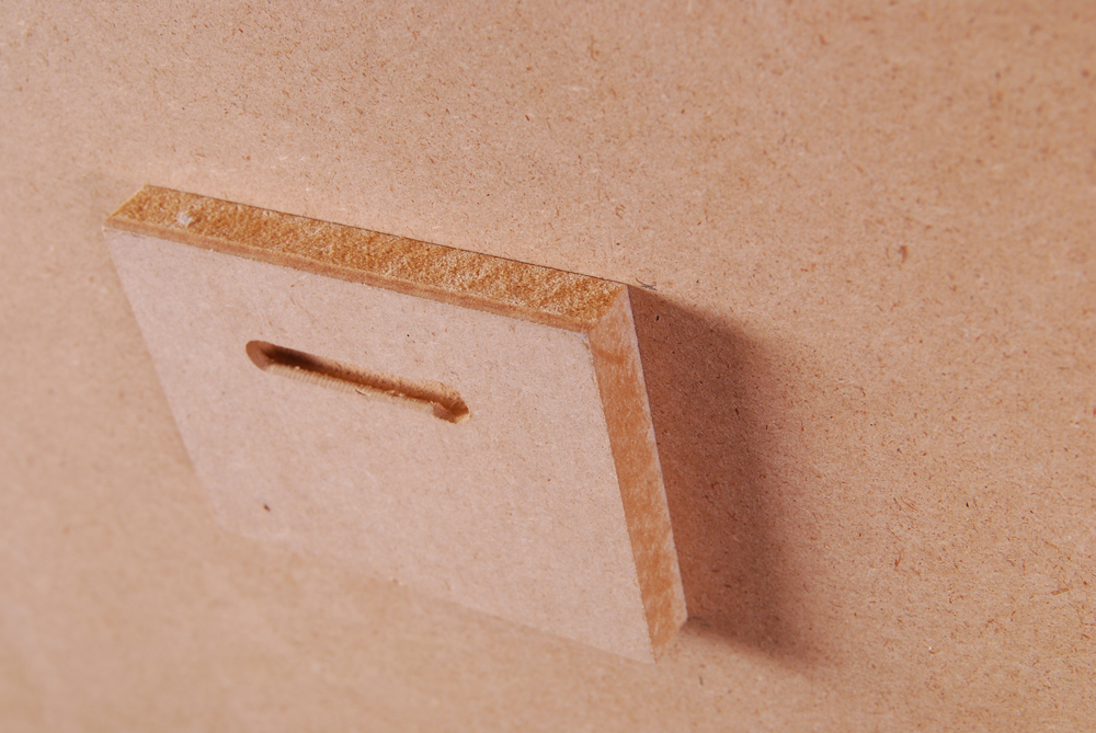 Debbie Lynn Zwiebach Limited Edition Print "Beta Fish"