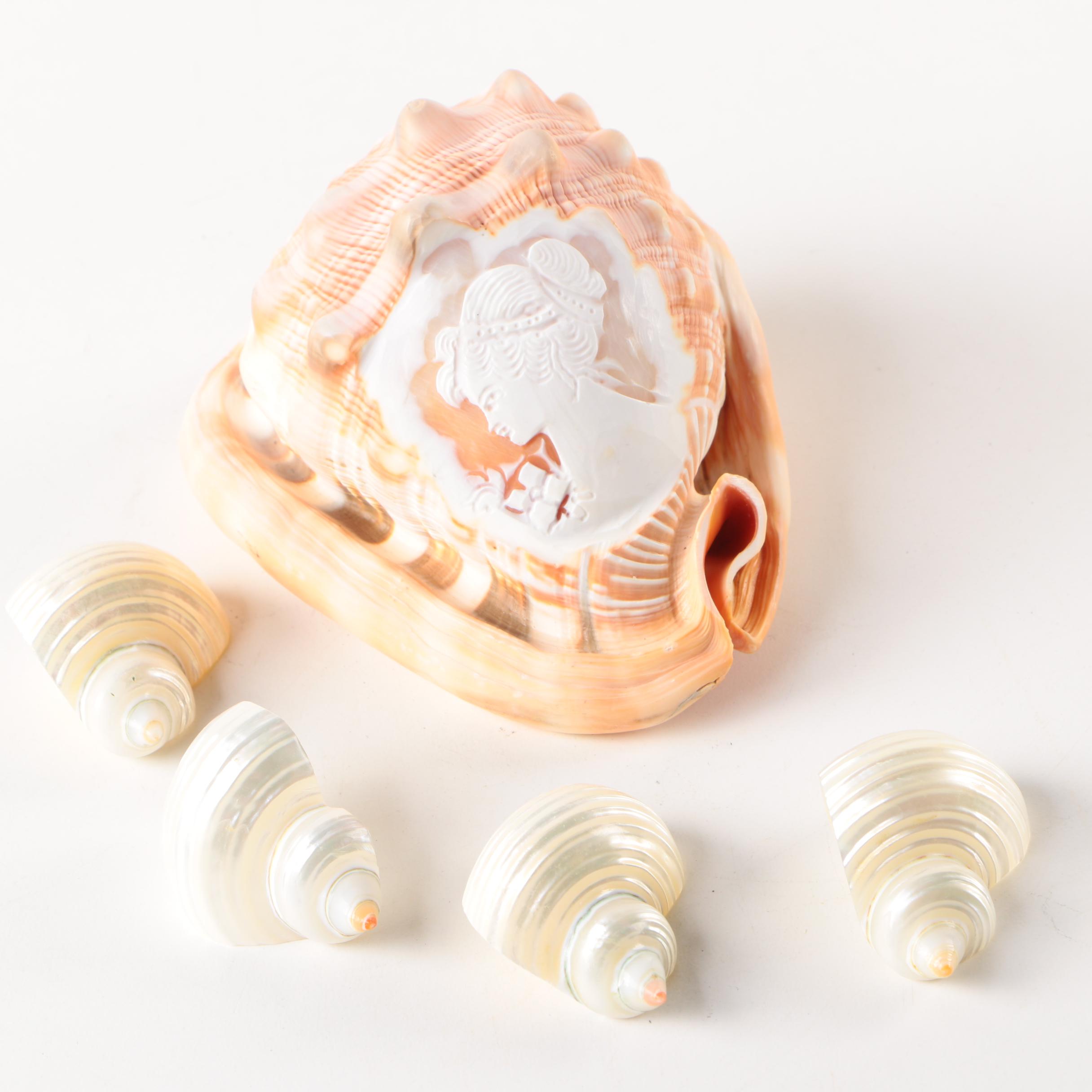 Carved Cameo Shell and Shell Napkin Rings