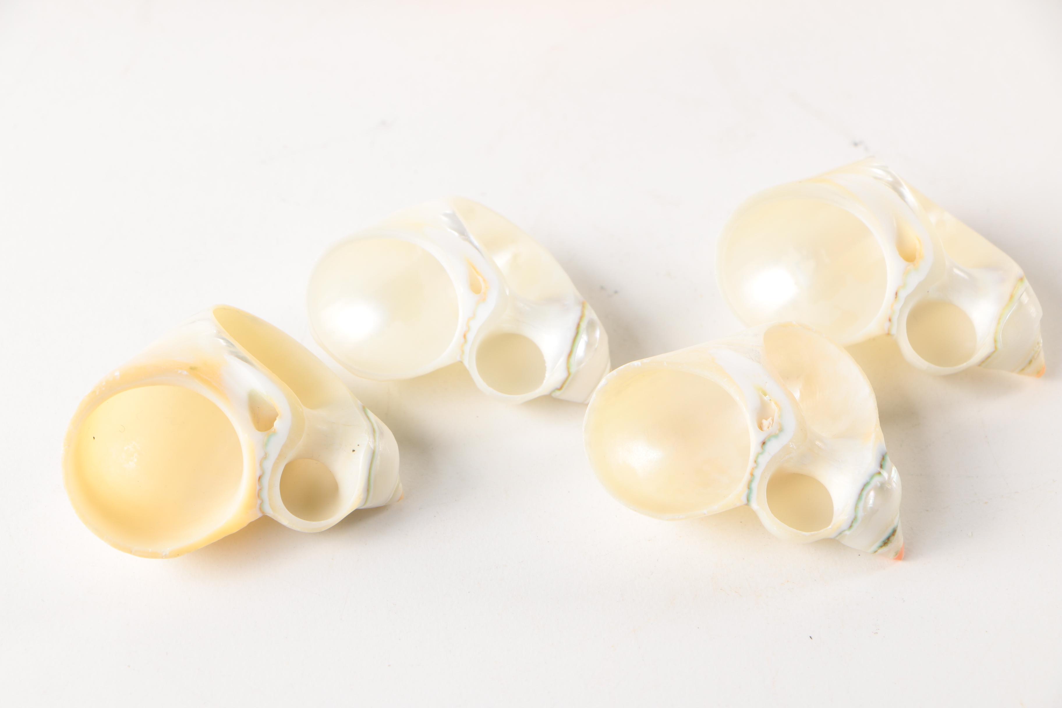 Carved Cameo Shell and Shell Napkin Rings