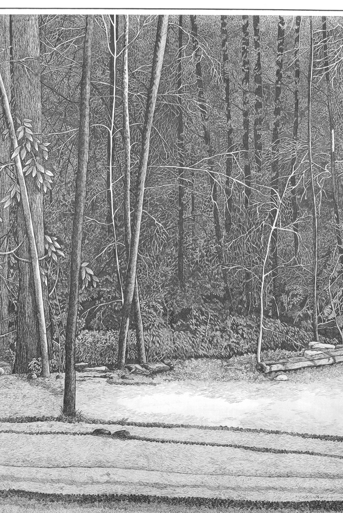 Debbie Lynn Zwiebach Limited Edition "Sunlit Path"